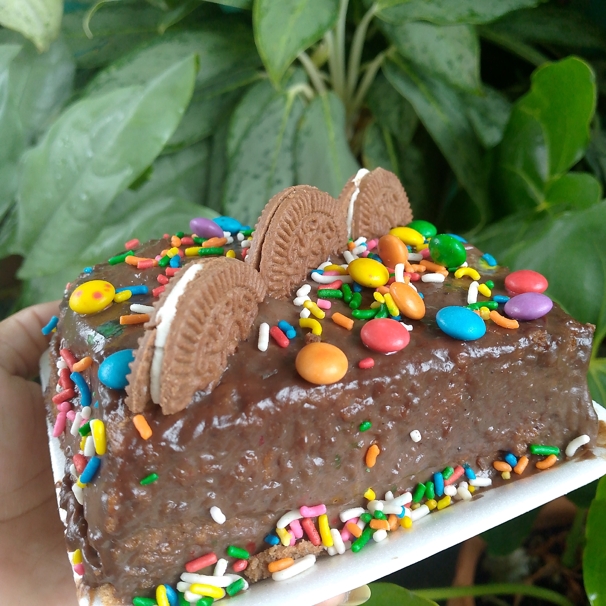A hand holds a square piece of chocolate cake covered in chocolate frosting, sprinkles, and chocolate sandwich cookies cut in half. The cake sits on a white square plate. The background is filled with green foliage. The location is Tinaquillo, Venezuela.