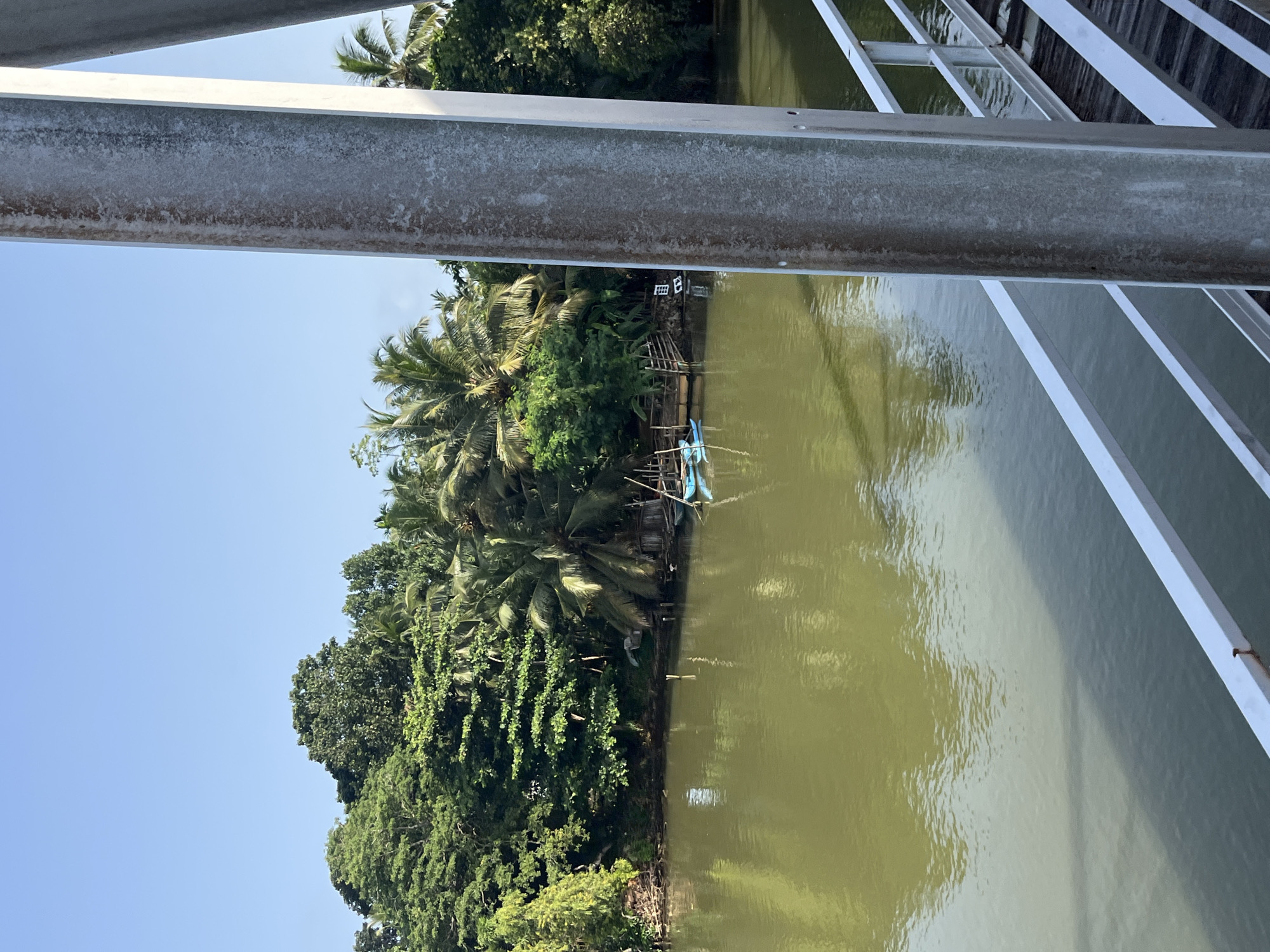 The image captures a view of a tranquil river scene in Kalutara, Sri Lanka. The foreground is dominated by a modern bridge structure, with a metallic support beam and white railings visible on the right. The river, with its murky green water reflecting the lush vegetation on the opposite bank, occupies the majority of the frame.
The far bank is densely covered with a variety of trees, including palm trees and other tropical foliage, creating a vibrant green backdrop. A small, rustic wooden structure or dwelling is partially visible along the riverbank, adjacent to a small wooden jetty. Two small, bright blue boats are moored near the jetty, suggesting local fishing or transportation activities. The water's surface is calm, with gentle ripples and reflections of the trees and sky. The sky above is a clear, bright blue, indicative of a sunny day. The overall atmosphere is serene and natural, showcasing the scenic beauty of the riverine landscape of Kalutara.
