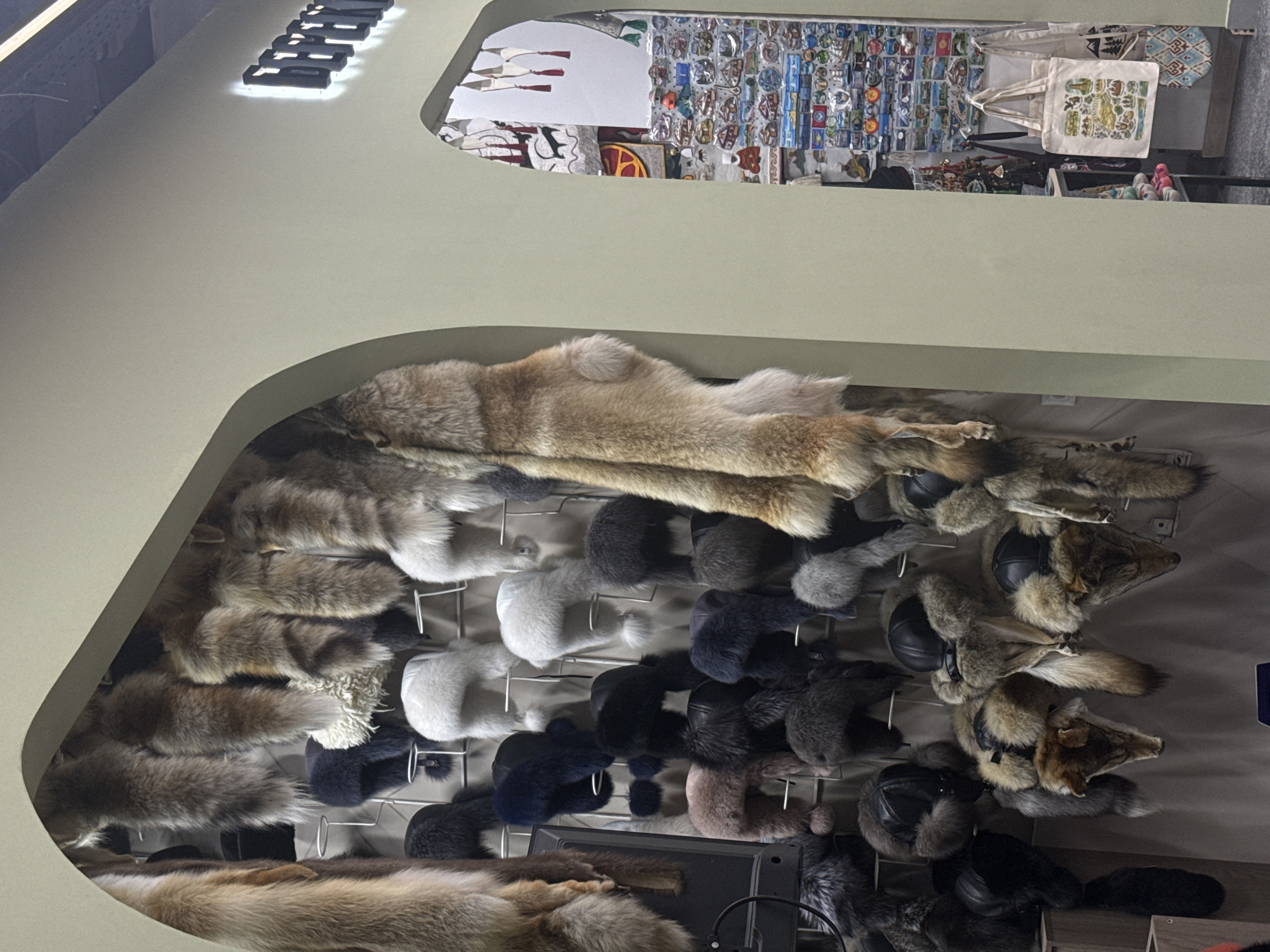This image depicts the interior of a shop in Bishkek, Kyrgyzstan, specializing in fur hats and other winter accessories. The foreground is dominated by a wall display of various fur hats, many of them appearing to be traditional Ushanka-style hats with ear flaps. These hats are made from different types of fur, including light brown, dark brown, black, and white. Some hats are displayed on metal racks, while others hang from hooks. Several full fur pelts are also hanging, with one prominent pelt on the left side of the frame in shades of tan and brown.
To the right, an arched opening reveals a further section of the shop. This area features a wall covered with a collection of colorful souvenirs, predominantly magnets and small decorative items, many depicting scenes or landmarks. Beneath these souvenirs, several tote bags are displayed, including one with a light-colored print featuring various illustrated objects and another with a geometric pattern. The overall impression is of a marketplace or a retail establishment catering to tourists or locals seeking warm winter clothing and local crafts. The lighting suggests an indoor setting, likely a market stall or a small boutique.