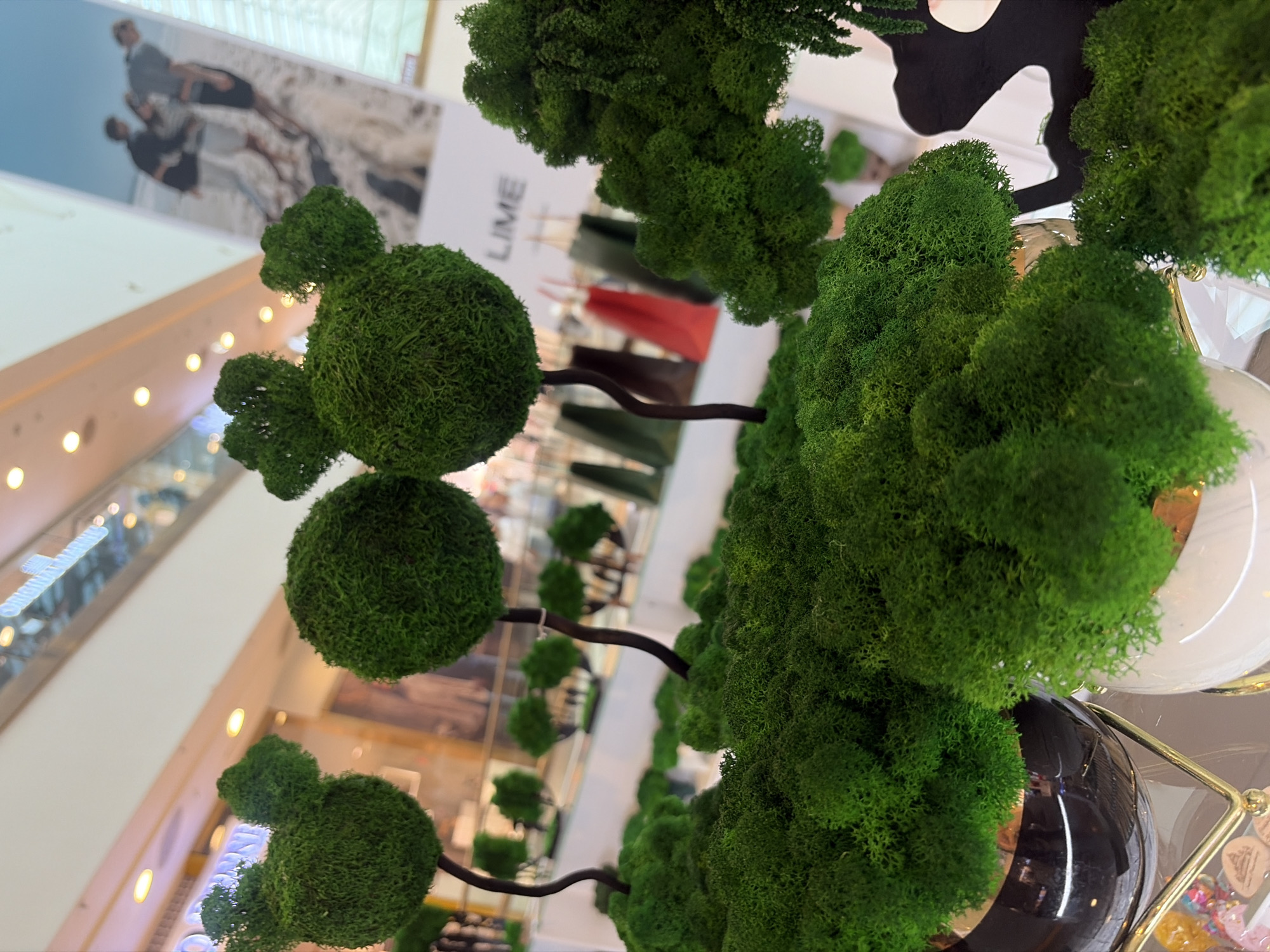 The image shows a display of artificial moss plants, likely in a retail setting, such as a mall. In the foreground, there are several arrangements of vibrant green moss, some shaped into spherical trees and others resembling bush-like mounds. Two of the moss trees have a distinctive Mickey Mouse-like shape with rounded heads and two smaller rounded ears. These are mounted on thin, dark, curved stems, rising from the moss mounds. The moss is densely packed and appears textured.
In the background, blurred elements suggest a retail environment. There are ceiling lights, a large banner with an image of people on a beach, and the word "LIME" is visible on a white surface, possibly a wall or display board. Several shopping bags in various colors, including red and green, are also visible in the mid-ground. A glossy black object, possibly a mannequin or display element, is partially visible on the right side of the image.
The image does not contain any information that would allow it to be located in Saint Petersburg, Russia.