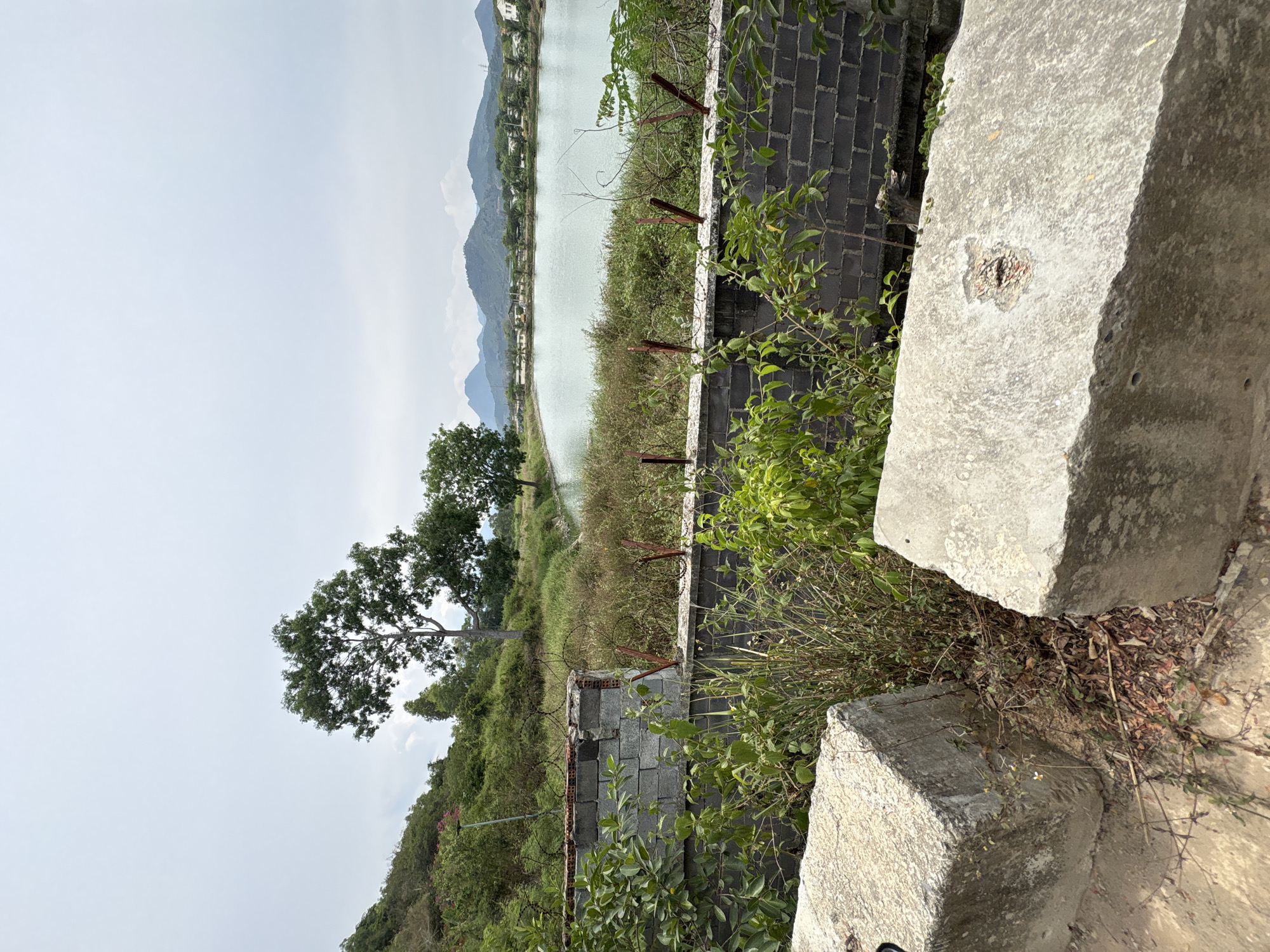 The image depicts a rural landscape in Bac Nha Trang Ward, Vietnam, featuring a body of water (likely a lake or pond) and mountains in the background under a bright sky. In the foreground, there are gray concrete structures and a partially constructed block wall with exposed rusted metal rods. Vegetation, including green plants and tall grass, is interspersed among the concrete and brick structures. A tree is visible on the left side of the frame, adding to the natural elements of the scene. No people are visible in the image.