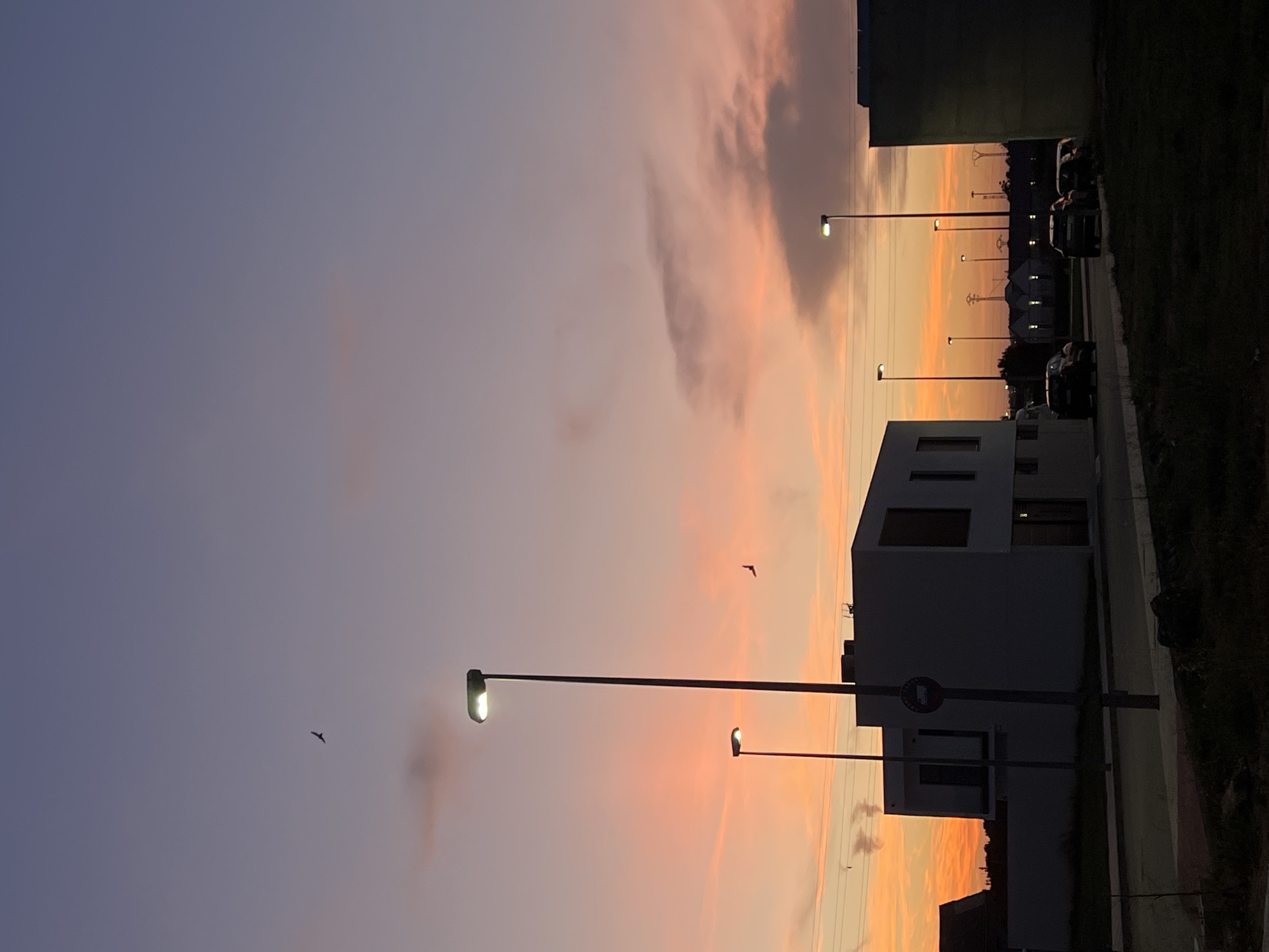 This image depicts a residential or semi-industrial area in the city of Alcàsser, Spain, at sunset. The sky transitions from deep indigo and purple at the zenith to vivid orange and pink hues above the horizon, with scattered, elongated clouds and a faint plume of smoke or steam on the left. Two birds are visible in silhouette against the colorful sky.
In the foreground, a dark, unkempt strip of ground occupies the lower right, contrasting with a paved road that curves slightly to the right, beginning on the left side. The midground features multiple modern, cubic-style buildings, largely cast in deep shadow and appearing as dark silhouettes against the bright sky, with dark windows. A prominent, tall streetlight with a bright white light illuminates the center-left, with a circular traffic sign (possibly 'no parking' or 'no stopping') affixed to its pole. A smaller, illuminated streetlight stands further down the road to its left. On the right, another illuminated streetlight rises, and several parked cars are visible as dark shapes on the street. Overhead, multiple power lines traverse the scene horizontally.
The background reveals a sequence of smaller structures or houses with some illuminated windows, continuing along the street into the distance. Numerous distinct lattice-work power line towers are silhouetted against the bright horizon, extending far into the background. A dark band of trees or vegetation forms the distant horizon line. No people are visible in the scene.