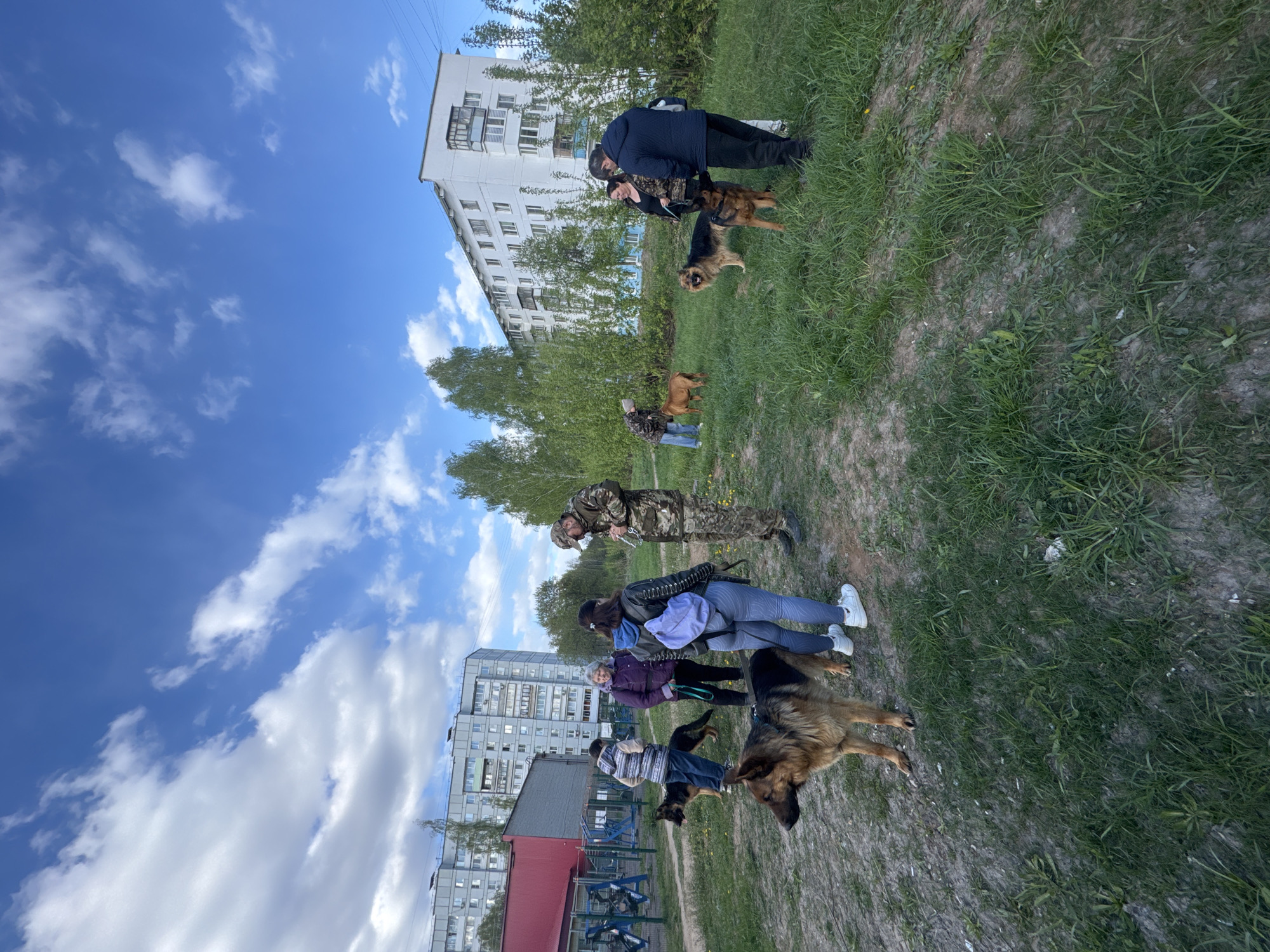 The scene is outdoors in the city of Chaikovsky, Russia, likely in a park or grassy area with residential buildings in the background. Several people are present, each with at least one dog, seemingly German Shepherds. They are standing in a line, with the dogs positioned beside them. People are dressed in casual clothing such as jackets, jeans, and sneakers. A playground structure is visible near one of the buildings. The sky is blue with scattered clouds. The grass is a mix of green and bare patches.