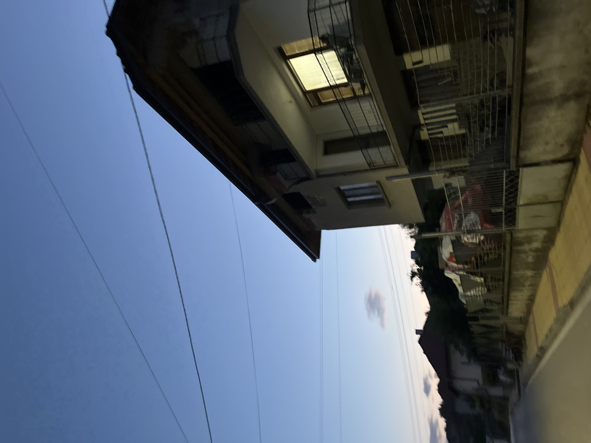 This image depicts a residential scene in the city of Zlatograd, Bulgaria, at dusk or early evening. The sky, occupying the upper portion of the frame, transitions from a deep blue at the top to a lighter, paler blue with a faint pinkish hue near the horizon on the left. A small, indistinct cloud is present in the mid-left sky. Multiple dark power lines traverse the sky diagonally, with one running across the top-right corner of the prominent building.
The primary subject on the right is a multi-story building with light-colored walls and a dark, sloped roof. The second floor features a balcony with a black metal railing. A large window on this balcony is brightly illuminated from within, revealing horizontal blinds or curtains and a faint, upright silhouette of a potential human figure on the right side of the lit area. Below the balcony, the first floor is partially visible behind a dark metal fence that runs along the property line.
In the lower left, a section of a paved street is visible, adjacent to a sidewalk composed of yellow and terracotta-colored tiles. Further left and in the background, additional residential buildings with dark roofs are partially obscured by dense, dark foliage, indicating a tree-lined or overgrown area. A concrete retaining wall supports the metal fence, extending from the foreground on the right towards the left, separating the property from the sidewalk and street. Behind the fence and to the left of the main building, a cluttered area contains various items covered with tarpaulins or sheets, some displaying red patterns.