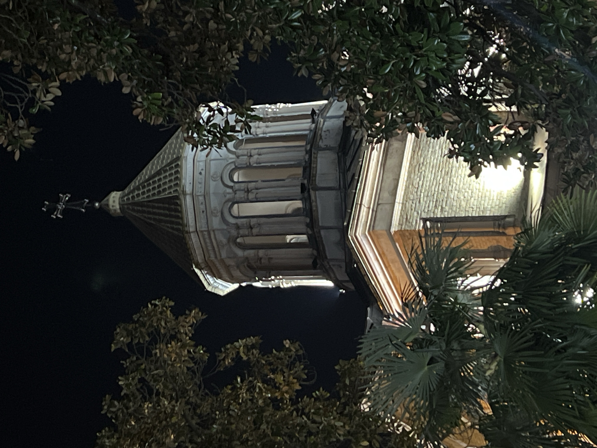The image displays an ornate building tower, likely part of a cathedral or church, illuminated against a dark night sky. The tower, viewed from a low angle, features a multi-faceted upper section that tapers into a spire, topped with a prominent cross. Its facade is constructed from light-colored stone or brick, showcasing intricate architectural details such as arched openings, columns, and decorative cornices. Artificial lighting highlights the structure, casting a warm glow on its surfaces and creating strong contrasts with the deep black sky.
The tower is partially framed and obscured by the dark silhouettes of dense foliage from various trees. On the right side, distinct palm fronds are visible, while the top and left edges of the frame are filled with broadleaf foliage, possibly from magnolia trees. No people or activities are visible in the scene. The overall impression is one of nighttime grandeur and solemnity. Given the location context of Batumi, Georgia, and the visible cross, the building is likely a religious landmark such as the Batumi Cathedral of the Mother of God. There is no visible text.