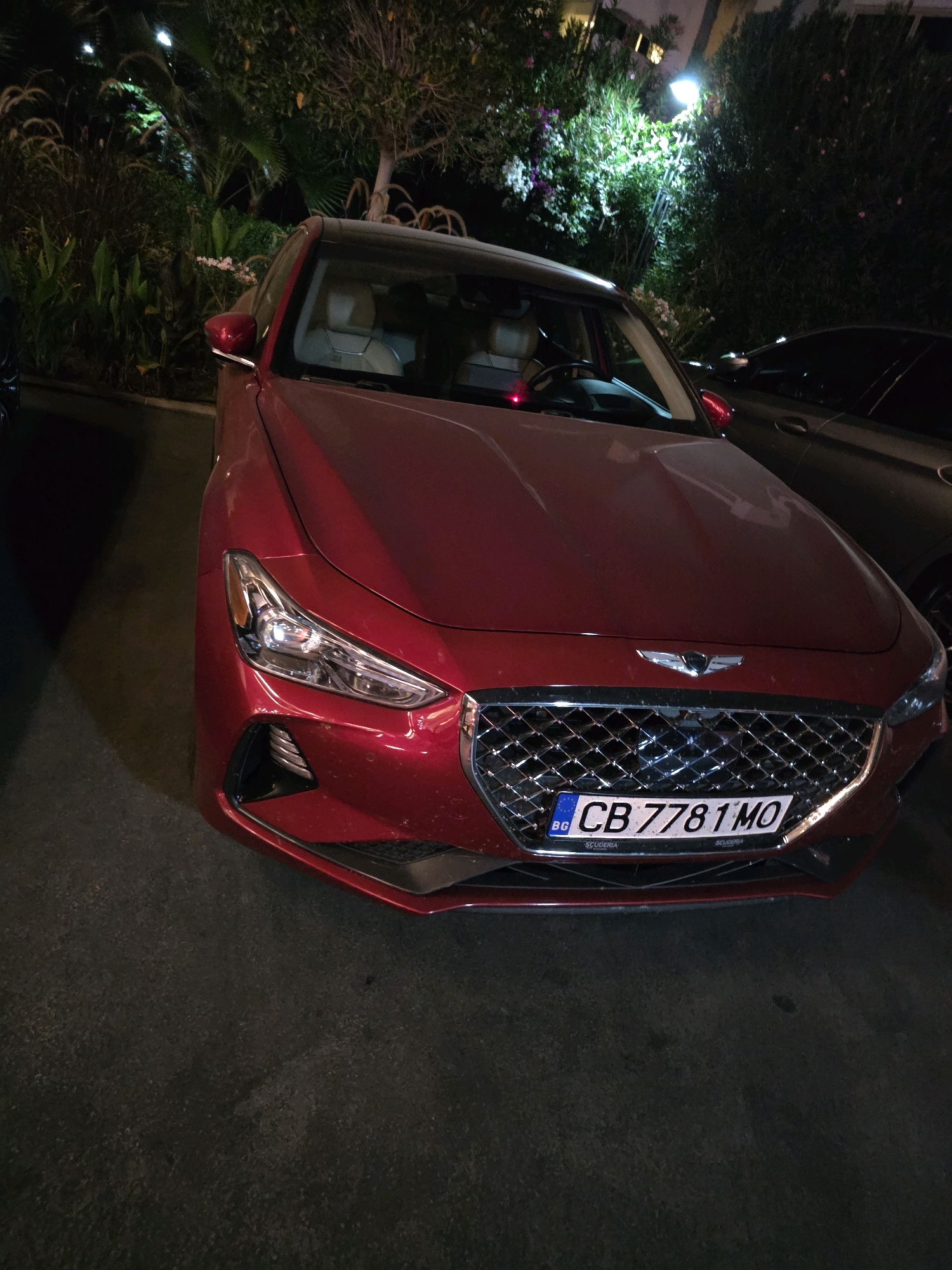 An eye-level, medium shot captures the front of a red Genesis G70 sedan parked at night in Bodrum, Turkey. The car is oriented towards the viewer, with its hood and grille prominently displayed. The vehicle's headlights are illuminated, casting a glow on the surrounding asphalt. In the background, lush greenery and palm trees are visible, illuminated by a bright streetlamp. The scene suggests a tranquil evening in a well-lit outdoor space.
