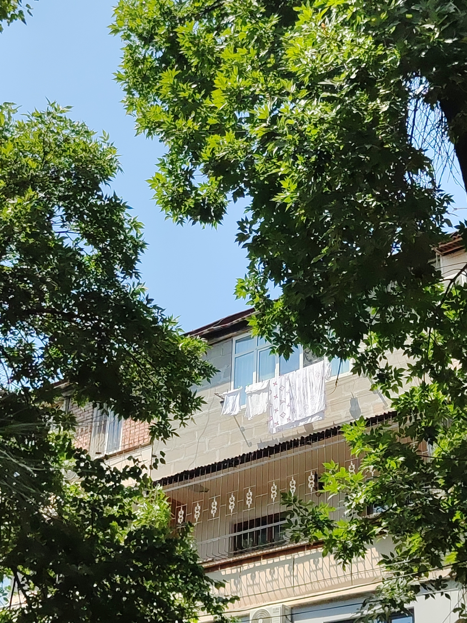 The image depicts a residential building partially obscured by lush green trees, under a clear blue sky, suggesting a sunny day. Laundry, including white sheets and garments, is hung to dry on a line stretched across a balcony. The building appears to be multi-story with a textured facade and visible windows. A metal railing with decorative elements adorns the balcony. The architectural style and the presence of trees are characteristic of residential areas in Tashkent, Uzbekistan. The scene conveys a sense of everyday life, with the natural element of trees framing the man-made structure.