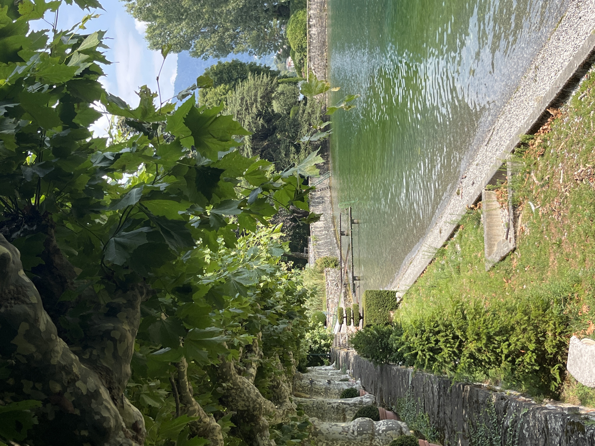 The image depicts a serene lakeside promenade in Montreux, Switzerland, likely at the Jardins de l'Élysée. A stone walkway lined with large trees with distinctive mottled bark runs along the left side of the frame, casting dappled shade. The trees are adorned with lush green leaves, some of which hang low over the path. Potted plants are visible along the walkway. To the right of the walkway, a gently sloping grassy area leads to the edge of a tranquil, emerald-green lake. A small, manicured hedge and a tiered evergreen shrub add to the manicured garden aesthetic. In the distance, a stone wall separates the garden from the lake. The lake itself is calm, with a pebbled shoreline. The background features a dense line of mature trees, and beyond them, hazy mountains under a bright, partly cloudy sky. There are no people or animals visible in the scene. The overall impression is one of peaceful, natural beauty integrated with a well-maintained garden environment.