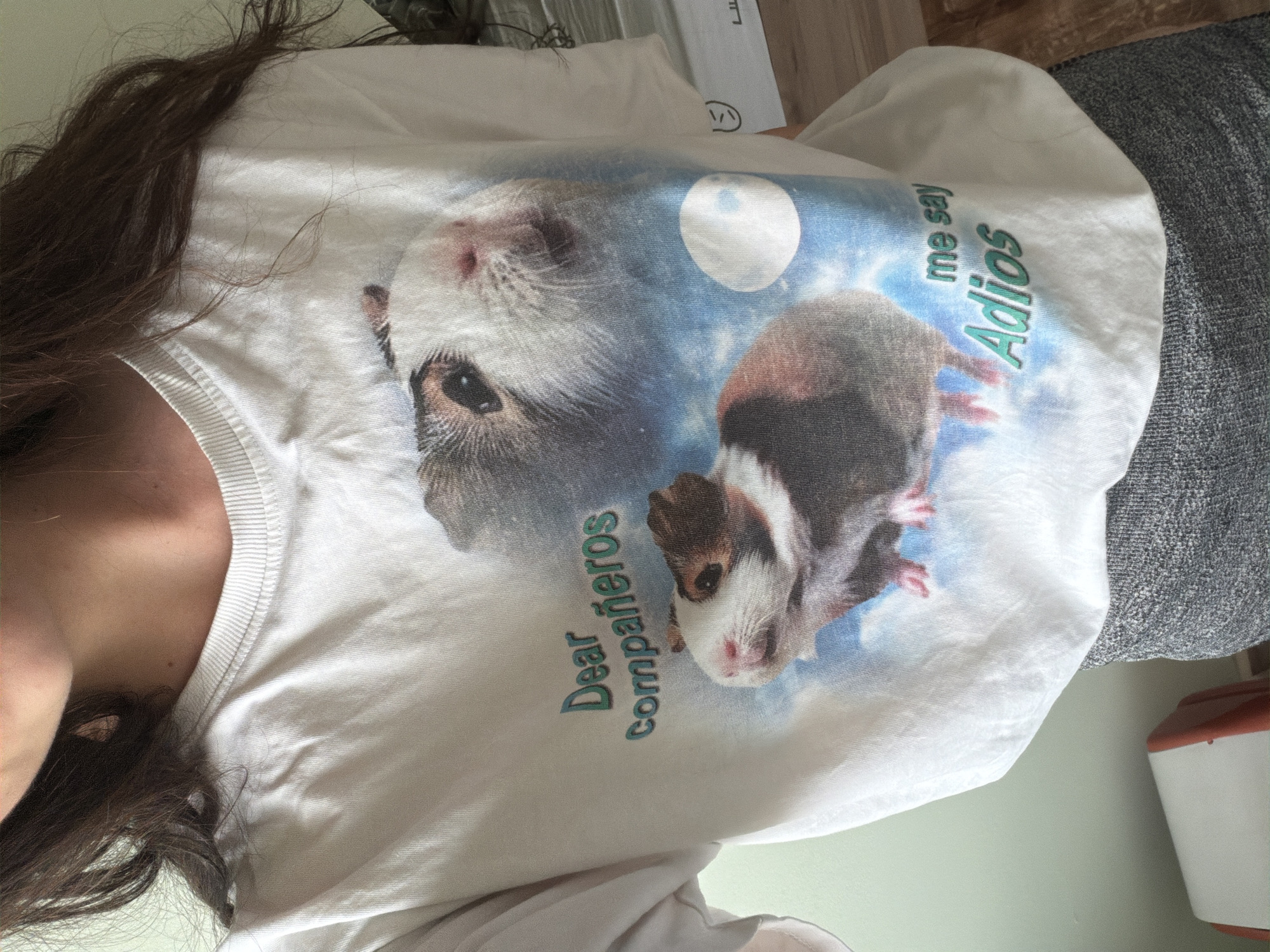This media file is a close-up, angled shot of a person wearing a white t-shirt. The t-shirt features a graphic print of two guinea pigs against a blue, starry background with a moon. One guinea pig is larger and grey, with its head tilted upwards, and the other is smaller, brown and white, and is looking towards the viewer.
The t-shirt has text printed on it. On the left side, the words "Dear Compañeros" are written in a teal color. On the right side, the words "me say" are written in a lighter teal, followed by "Adios" in a darker teal. The print is slightly creased due to the fabric of the t-shirt.
The person's brown hair is visible, framing the left side of the image and falling onto the t-shirt. Part of the person's shoulder and neck are also visible. The background behind the person and t-shirt is blurred, showing a textured grey surface and a hint of a pale green wall. A white and orange object, possibly a container or appliance, is visible in the bottom right corner. The lighting suggests an indoor setting, and there are no clear indicators of the time of day or specific weather conditions. The overall emotion conveyed is casual and perhaps humorous due to the t-shirt design.