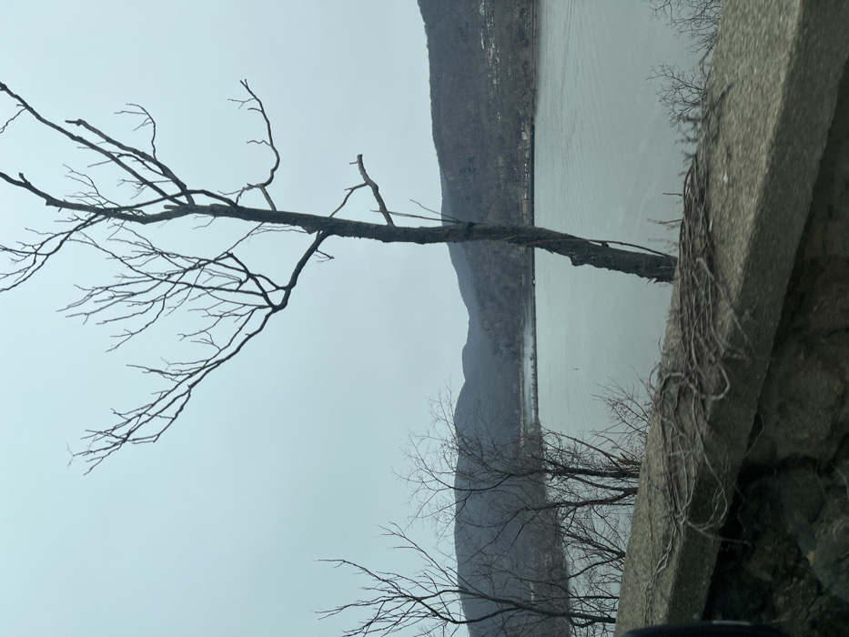 The image displays a wide, elevated view of a river valley on an overcast day, located within the Town of Cortlandt, United States of America. In the foreground, a gray concrete coping from a stone wall is visible, with tangled, bare vines lying across its surface. A dark, indistinct object partially frames the bottom left. Multiple leafless deciduous trees with dark, slender branches are positioned between the viewer and the water. A tall, prominent leafless tree, featuring a slender dark trunk with a thin reddish strand wrapped around it, stands centrally. The river's surface is a uniform dull grayish-blue, exhibiting faint ripples. A long, dark, horizontal structure is faintly discernible in the mid-distance across the water. The far bank consists of rolling hills or mountains densely covered with bare trees, appearing muted gray and brown. A cluster of small buildings is visible on the distant hillside to the right. The sky is entirely overcast, presenting a uniform light gray-blue hue.