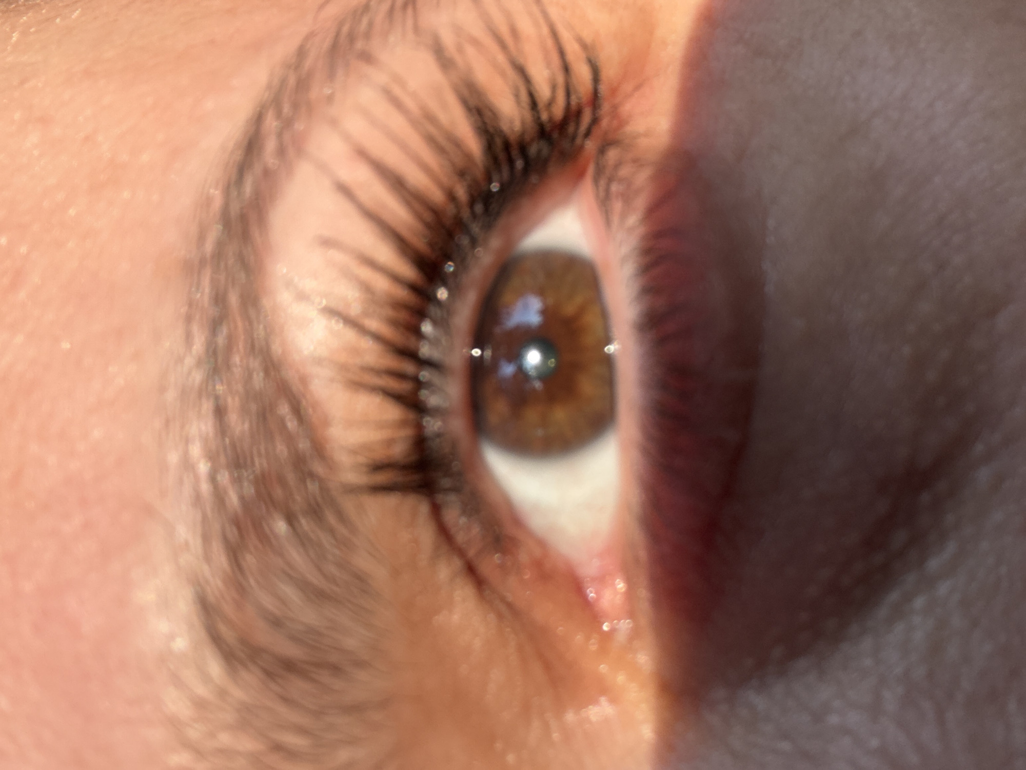 This is a close-up, macro photograph of a human eye, likely a woman's, with prominent eyelashes and a brown iris. The lighting suggests it was taken outdoors, possibly during the day, as there are highlights and shadows on the skin. The eye is the central focus, and the surrounding skin and eyebrow are visible. There is no indication of the city of Marum, Netherlands, or any urban environment in this image.