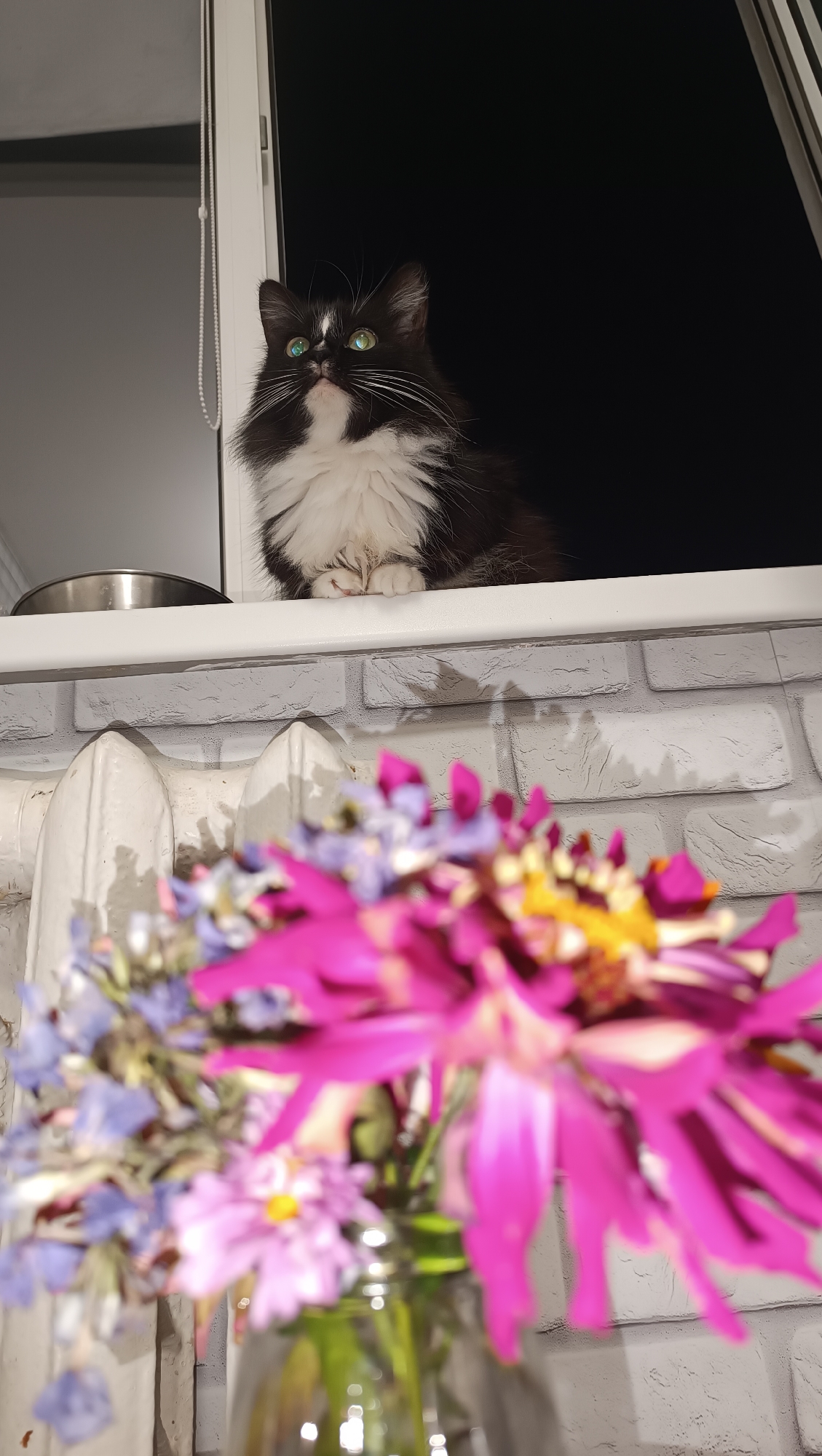 A black and white cat with green eyes sits on a windowsill. In the foreground, a bouquet of flowers in a vase is out of focus. The cat is looking upwards, with its paws tucked underneath it. The windowsill is white and there is a metal bowl to the left of the cat. Behind the windowsill, a white brick wall is visible, with a white radiator below it. The background is dark.