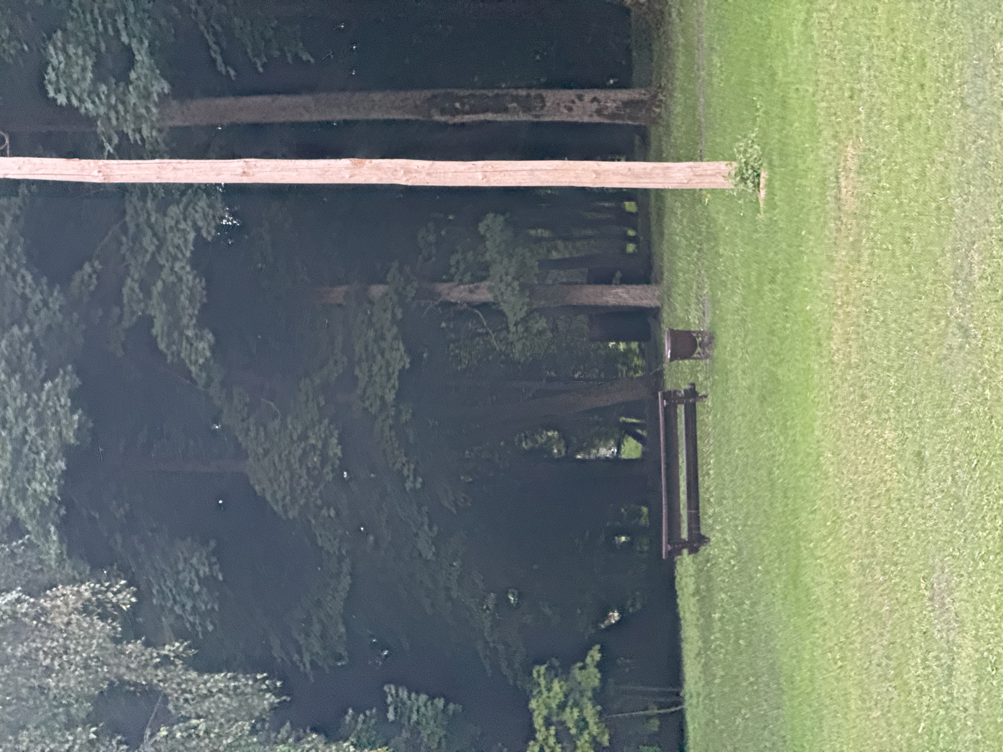 The image shows a park-like setting with a grassy clearing and a dense line of trees in the background. A wooden bench is positioned in the middle ground, facing left, with a dark, cylindrical trash receptacle to its right. A tall, light-colored wooden pole stands vertically on the right side of the frame, extending from the ground upwards. The overall lighting suggests it is daytime, possibly overcast, with a slightly muted color palette. The scene is located in the city of Niasvizh, Belarus.