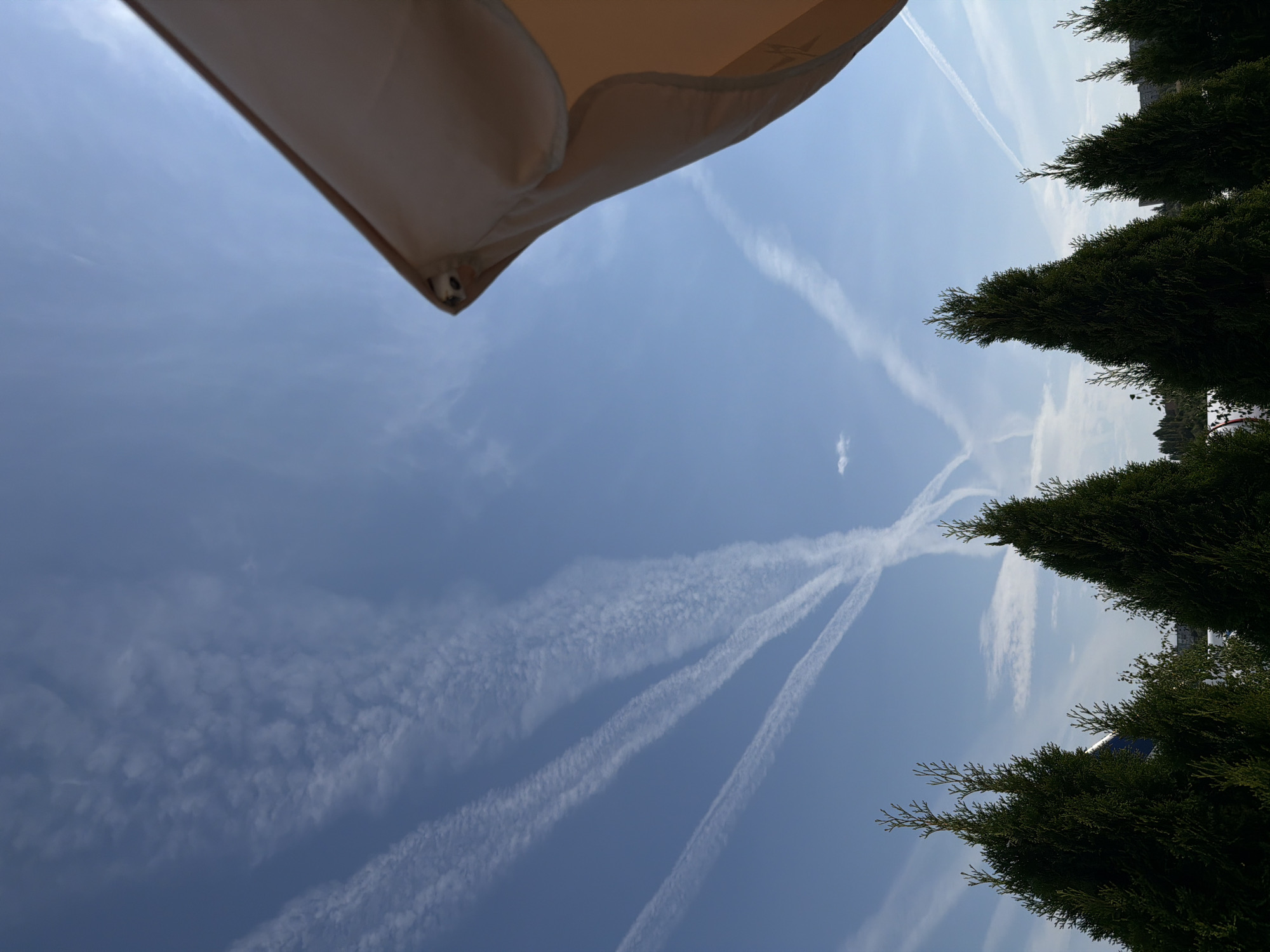 The image shows a clear blue sky with several contrails from airplanes. In the foreground, there are several dark green evergreen trees. On the right side of the image, a portion of a light brown umbrella is visible. The horizon line is low in the image, with some distant buildings visible between the trees. The image appears to be taken on a sunny day. Based on the provided information, this scene is located in Kamyshin, Russia.