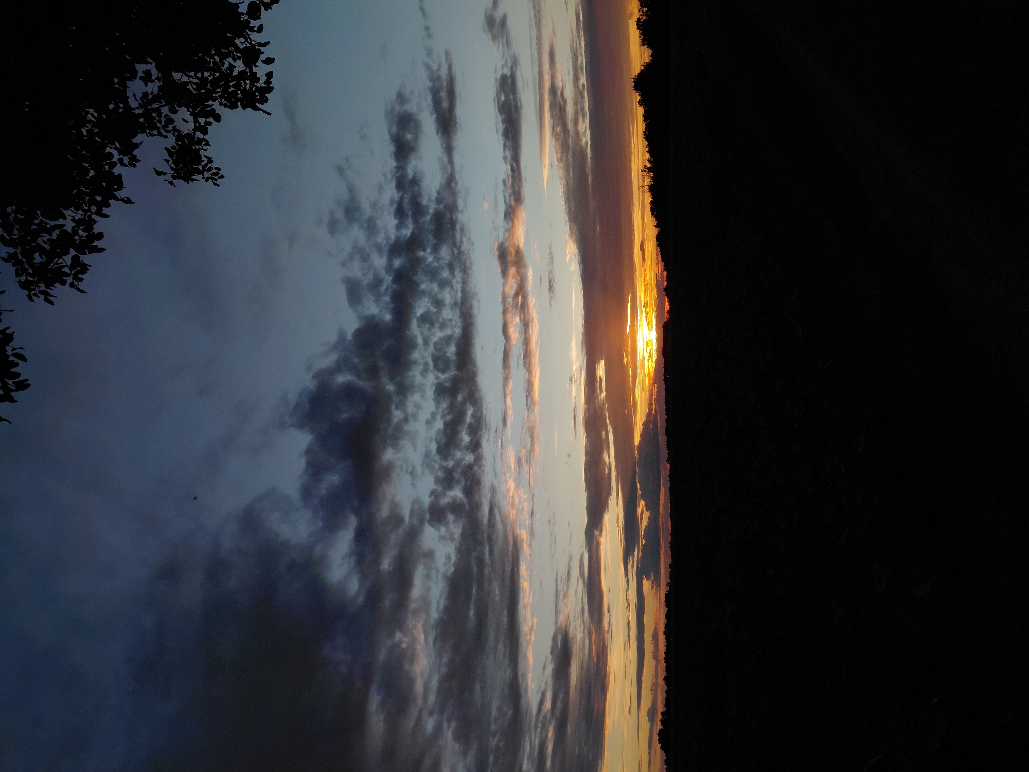 A silhouette of a tree branch with leaves is visible in the upper right corner of the image, set against a twilight sky. The sky is a gradient of dark blue at the top, transitioning to lighter blues and oranges as it nears the horizon. Clouds are scattered across the sky, with some appearing darker and more dense than others. A faint hint of a bird in flight can be seen in the upper left quadrant of the sky. The lower portion of the image is dominated by a dark silhouette of a landscape, likely a field or open terrain, with a dense treeline forming the horizon. The sun is setting behind the treeline, casting a warm glow of orange and yellow light that is visible through the clouds and above the silhouette. The overall impression is that of a rural landscape at dusk. The location is Unknown, Unknown.