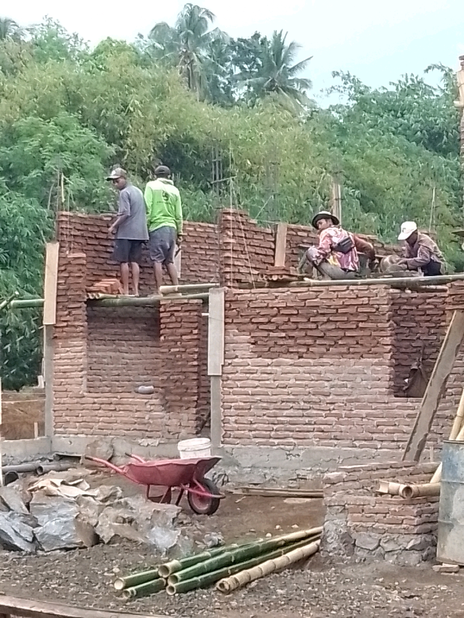 The image depicts a construction site in Jember, Indonesia, where workers are building a brick wall. There are at least five individuals present. Two men in the background are standing on the partially constructed wall, one wearing a gray t-shirt and shorts, the other a bright green shirt and dark shorts. In the foreground and middle ground, three other workers are engaged in construction activities. One man, wearing a patterned shirt and a hat, is crouched on the wall, possibly laying bricks. Another man in a white hat is also on the wall, seemingly working with cement or mortar. A fifth worker, partially obscured, is also visible on the wall.
The construction area is characterized by a red brick wall in various stages of completion. Materials such as bricks, bamboo poles, large stones, and a red wheelbarrow are scattered around the site, indicating ongoing construction work. The background consists of lush green vegetation, including palm trees, suggesting a tropical or sub-tropical environment. The overall scene captures a typical day of manual labor in a developing construction project.