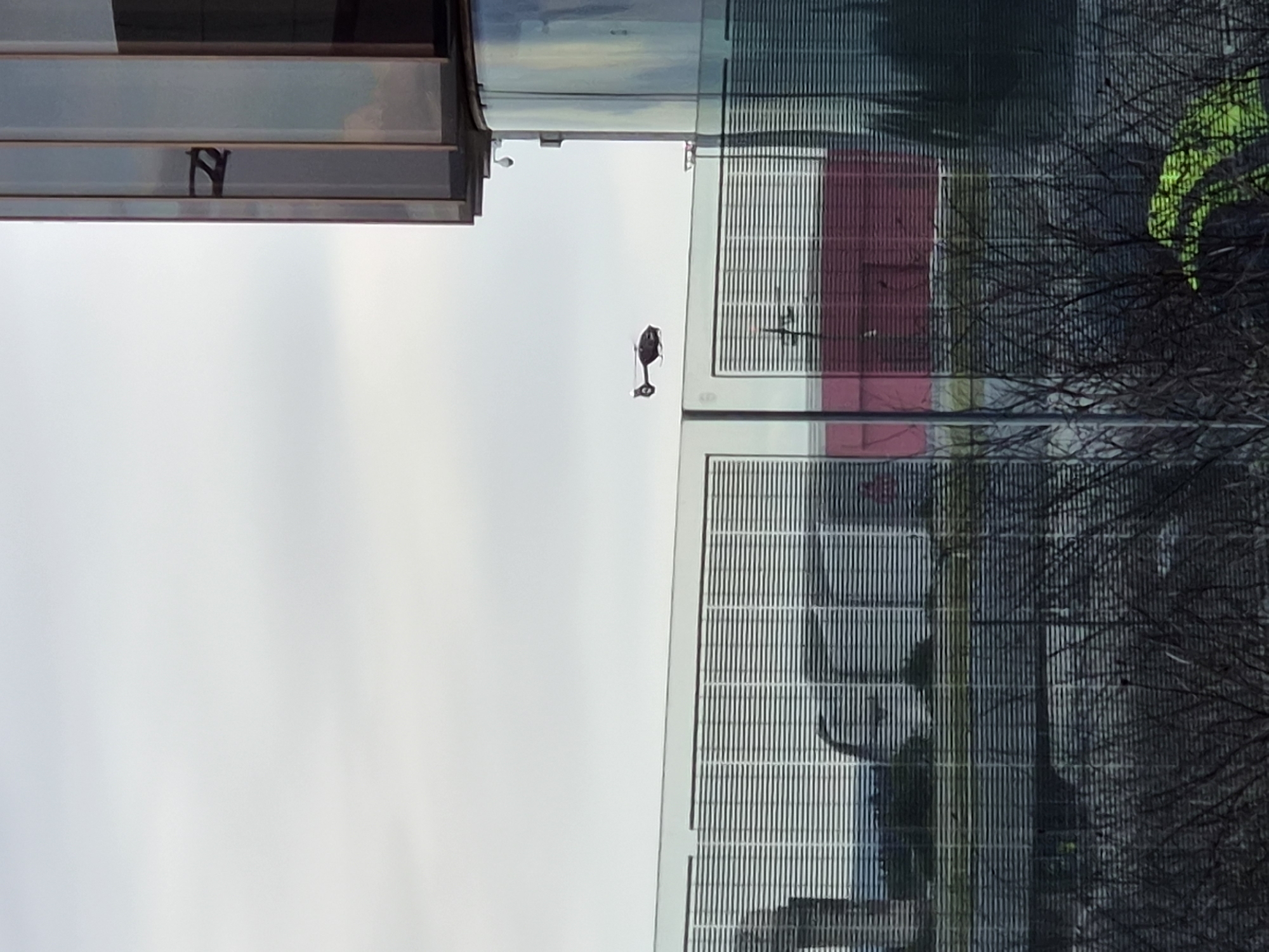 The photograph depicts a helicopter flying in the sky above Senningerberg, Luxembourg. The sky appears overcast. Buildings with glass facades are present on both sides of the helicopter. Bare trees are visible to the right. The location appears to be an urban area.