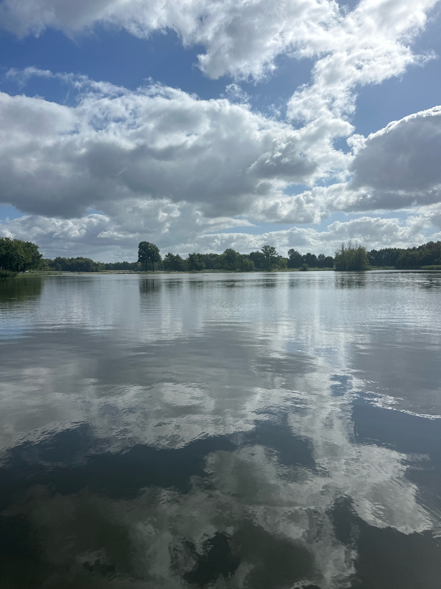 The image shows a serene lake with a tree-lined shore under a partly cloudy sky. The water's surface reflects the sky and trees, creating a mirror-like effect. The scene appears to be a tranquil natural landscape within the city of Neschwitz - Njeswačidło, Germany. There are no people or animals visible in the frame. The environment is characterized by calm water, lush green trees, and a dynamic sky with scattered clouds.