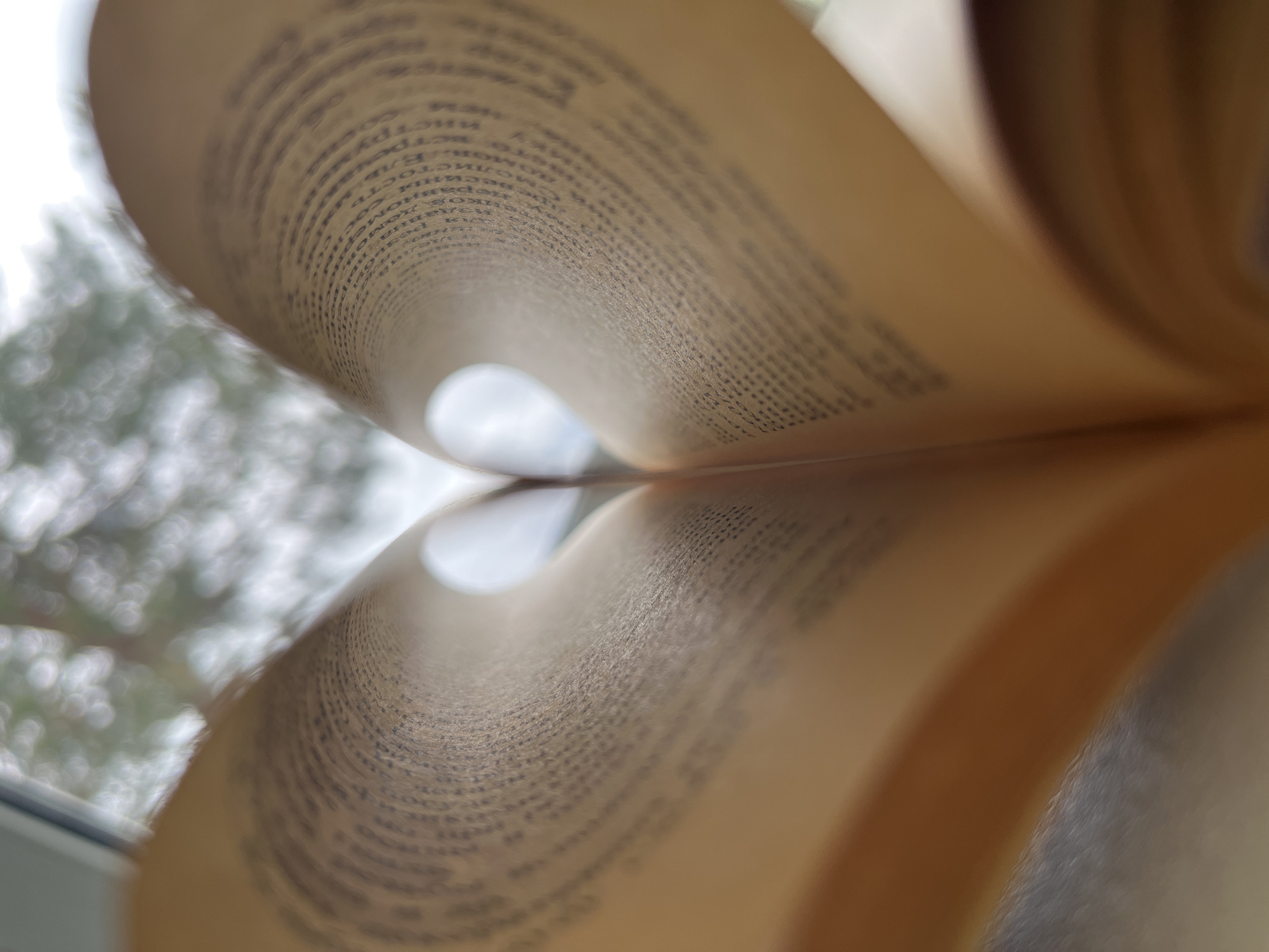 The image shows an open book, with the pages curved to form a heart-like shape. The pages are yellowed and filled with dense text, presumably in Russian. In the background, blurred through the opening created by the pages, is a window and an out-of-focus view of trees and a cloudy sky. The scene appears to be indoors, near a window. There is no verifiable information on the exact location of the scene (Chaikovsky, Russia) in the image or in the details provided.