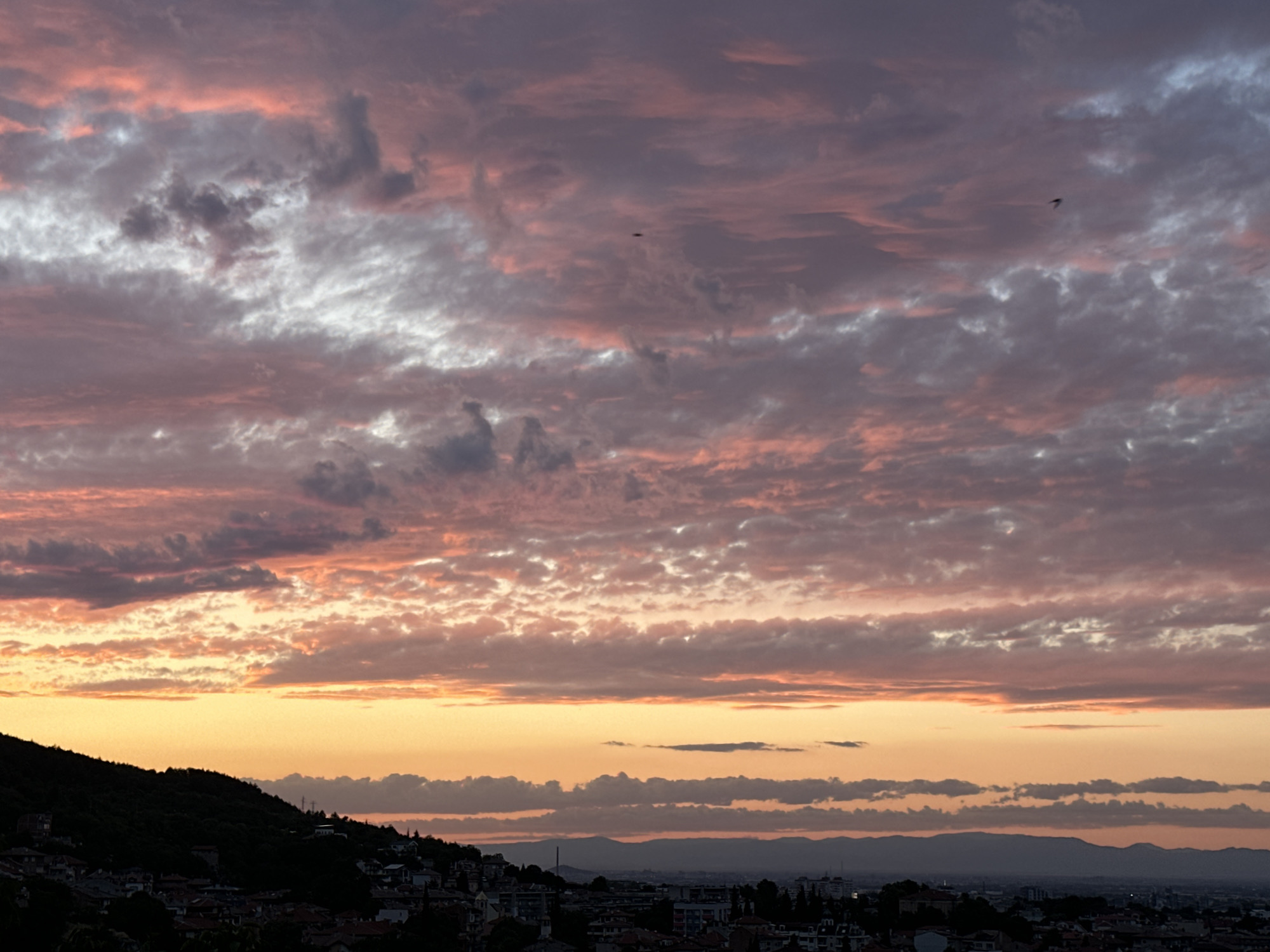 The image captures a sunset over the city of Asenovgrad, Bulgaria. The sky is filled with dramatic clouds, painted in hues of pink, orange, and purple, with streaks of white. A faint silhouette of an airplane is visible in the upper part of the sky. Below the colorful sky, a dark, tree-covered hillside slopes down towards a densely packed cityscape. The buildings appear as dark shapes against the lighter sky. In the distance, a range of mountains forms a hazy silhouette on the horizon. The overall scene evokes a sense of peaceful transition from day to night.