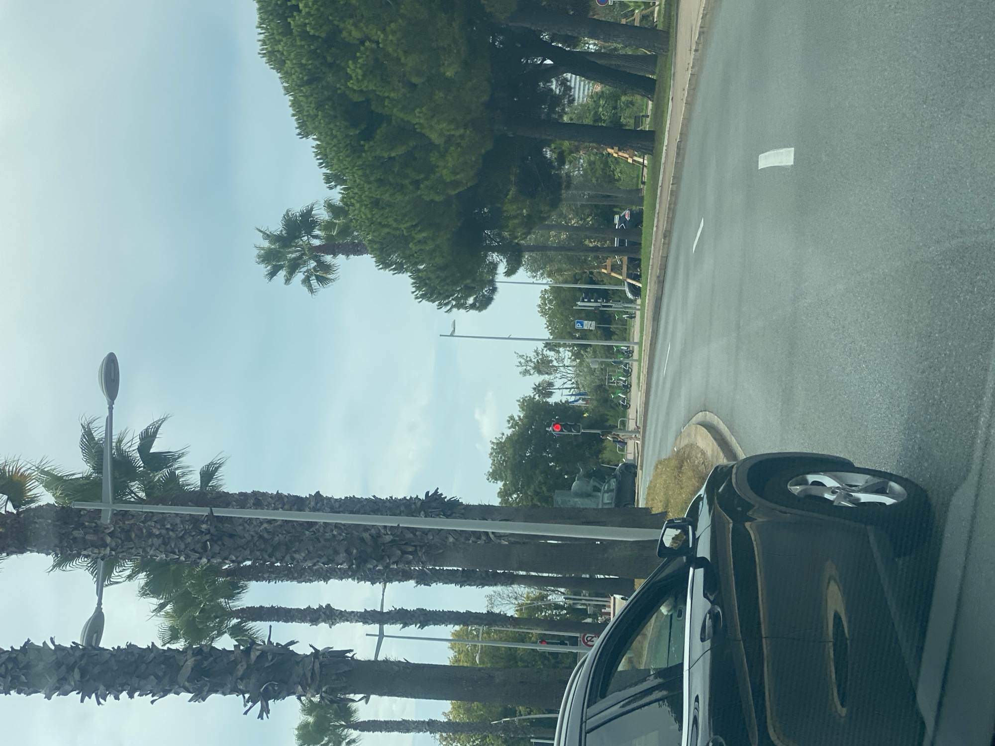 The image depicts a street scene in Villeneuve-Loubet, France, under a cloudy sky. A dark-colored SUV is in the foreground, partially visible on the left side of the frame, driving on a road with white lane markings. Palm trees line the left side of the road, with their trunks appearing weathered. A street light is visible between two of the palm trees. On the right side of the road, a line of dense green trees, possibly pine trees, forms a natural barrier. Beyond these trees, some buildings and structures are faintly visible. A traffic light displaying a red signal is positioned further down the road on the right. Several electric scooters are parked along the sidewalk on the right. A person is walking on the sidewalk in the middle distance. The overall impression is of a sunny day on a coastal road, with a mix of urban and natural elements.