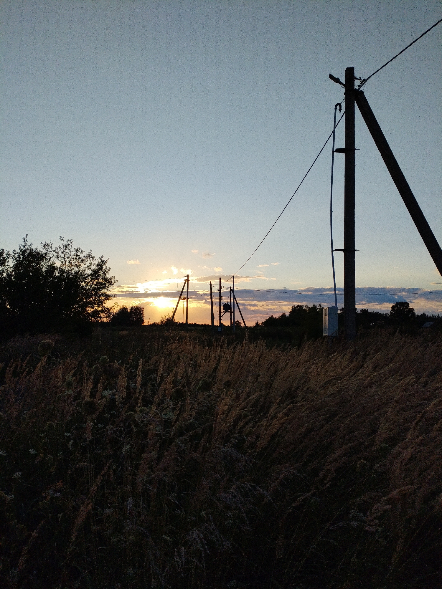 A rural landscape in Bialynichy, Belarus, is captured at dusk. In the foreground, dry, tall grasses are silhouetted against the sky. Two utility poles with wires are visible in the middle ground, one on the right and another further to the left. The sun is setting behind a line of trees in the distance, casting a warm glow across the horizon. Clouds are scattered across the pale blue sky. A dark, leafy tree stands to the left of the frame. The overall scene depicts a serene, natural environment at the end of the day.