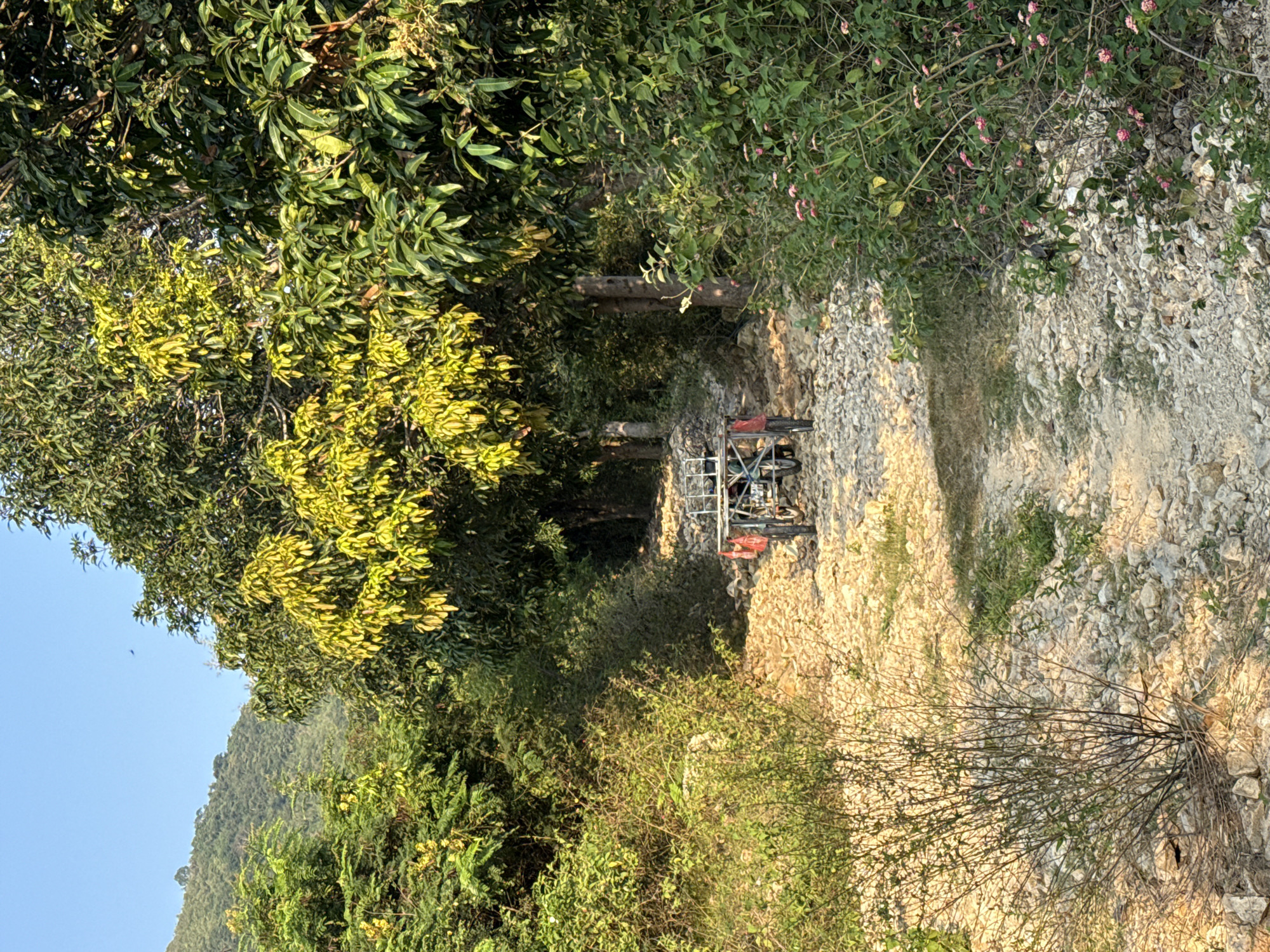 The image depicts a narrow, rocky path lined with dense vegetation in what appears to be a natural or rural environment. The path leads to a three-wheeled vehicle with a flatbed, possibly a motorized tricycle, situated in the distance. The vegetation on either side of the path consists of trees and bushes, with some sections appearing lush and green. The ground is covered in light-colored rocks and dirt. There is a mountain in the background. Based on the description of the area, the location is likely within the Bac Natural Heritage Area Trang, Vietnam.