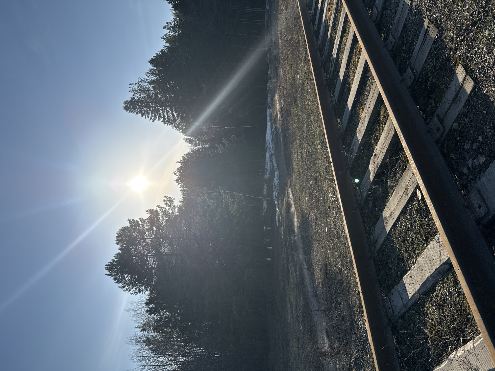 The image presents a view of railroad tracks under bright sunlight, with a forested area adjacent to the tracks. The tracks are rusty and appear unused. The forest consists primarily of coniferous trees. The sky is clear blue, with the sun positioned high in the sky. Based on the limited information available, it is not possible to confirm the location in the city of Chaikovsky, Russia with certainty. More precise location data or recognizable landmarks would be required for confirmation.