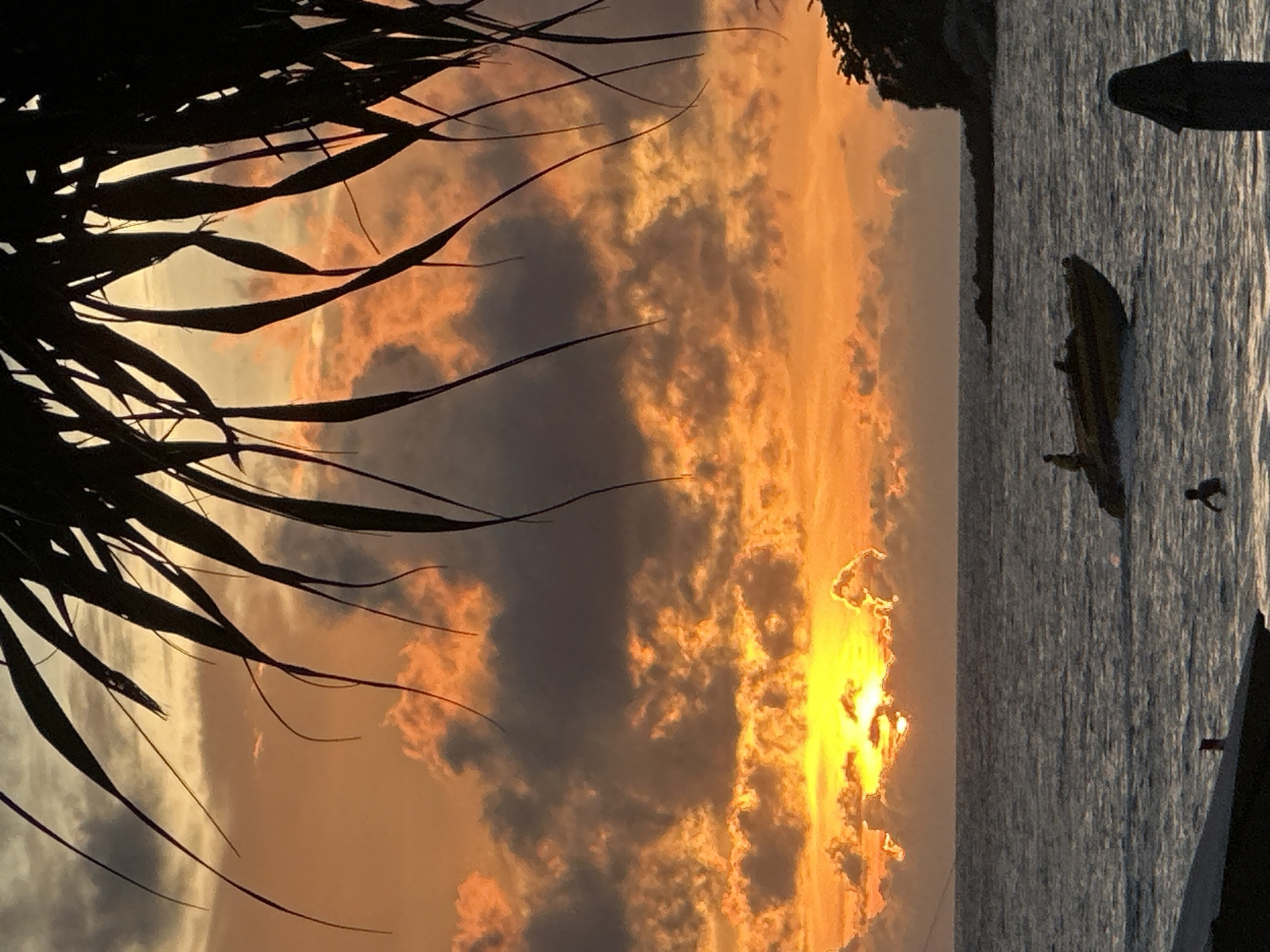 A sunset is captured at Karon Beach, Thailand, with the sky ablaze in orange and yellow hues due to scattered clouds. In the foreground, silhouetted palm fronds hang over the scene. The ocean is moderately wavy. A yellow speedboat with at least two visible occupants is moving from left to right in the middle ground. A single person is partially submerged in the water to the right of the speedboat, and another person stands in the water further to the right. The coastline is visible in the distance on the right side of the image, featuring a dark, tree-covered promontory. The lower left corner of the image shows a dark, silhouetted object, possibly a roofline or awning.