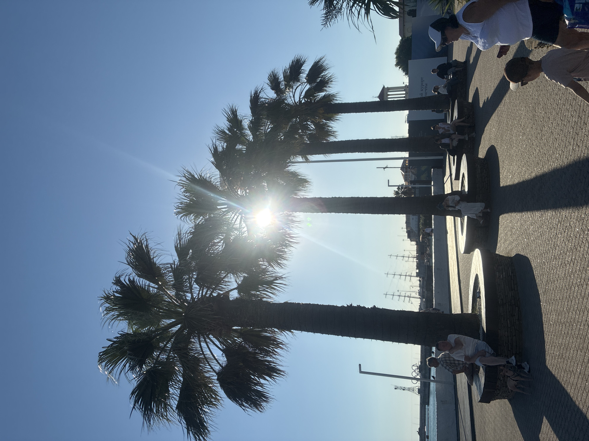 In Sochi, Russia, a bright, sunny day is captured with a clear blue sky casting long shadows from palm trees and people. The image shows a waterfront promenade, paved with textured bricks, where several individuals are seen relaxing and conversing. Some people are seated on unique benches made of what appear to be large tree trunks, while others stand or walk along the path.
The foreground is dominated by the silhouettes of several tall palm trees, their fronds swaying gently and catching the sun's glare, which creates a lens flare effect. In the mid-ground, a group of people are depicted in various poses: some seated, others standing. A woman wearing a white tank top and a cap is leaning forward, looking at something to her right. Beside her, a child in a light-colored shirt and a cap is also looking in the same direction. Further along the promenade, two men are sitting on a tree-trunk bench. One is wearing a plaid shirt and shorts, while the other is in a white t-shirt and shorts, leaning back.
In the background, a body of water is visible, with several sailboats docked, suggesting a harbor or marina. A building with white columns and balconies is also visible, along with a streetlamp. The scene conveys a relaxed atmosphere, typical of a seaside resort on a pleasant day. The time of day appears to be late afternoon, judging by the angle of the sun and the length of the shadows. No visible text is legible in the image.