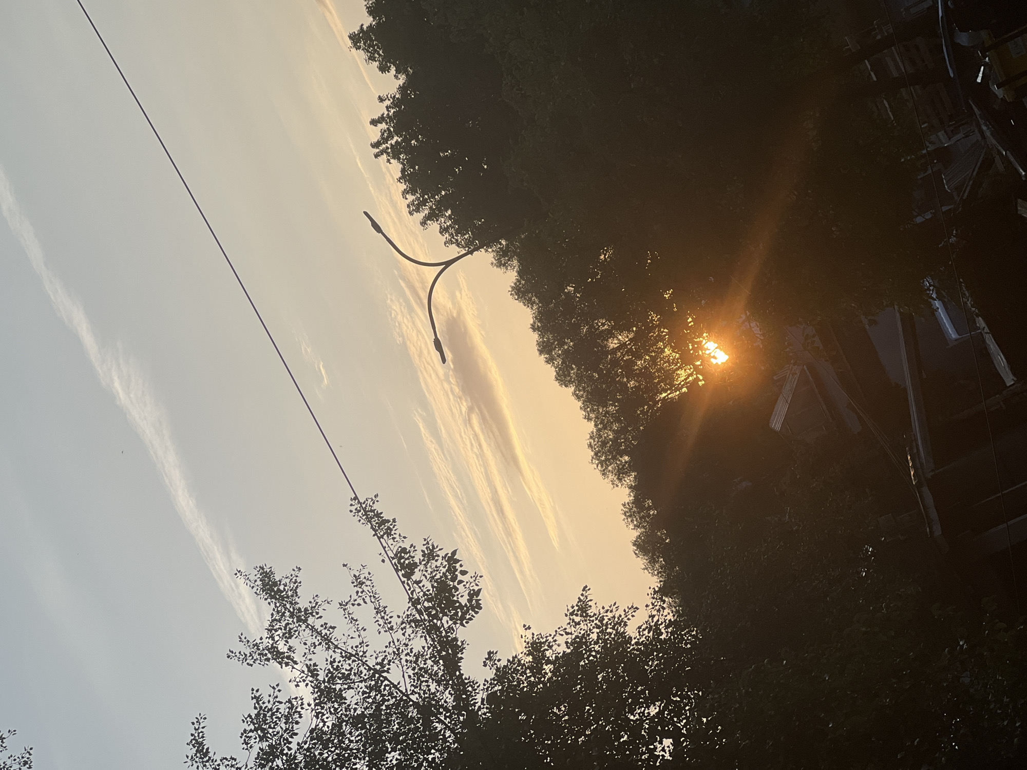 The image depicts a sunset scene with trees silhouetted against a warm, hazy sky. The sun's rays are visible, creating a lens flare effect as they pass through the foliage. A street light with a distinct curved arm stands out against the sky. A power line cuts diagonally across the upper portion of the image. The foreground is dominated by dense trees, with hints of buildings and structures visible through the branches in the lower part of the frame. The overall atmosphere is serene and warm, indicative of a late afternoon or early evening in an urban or suburban setting. Based on visual cues like the architecture and vegetation, the image could be from the city of Warsaw, Poland.