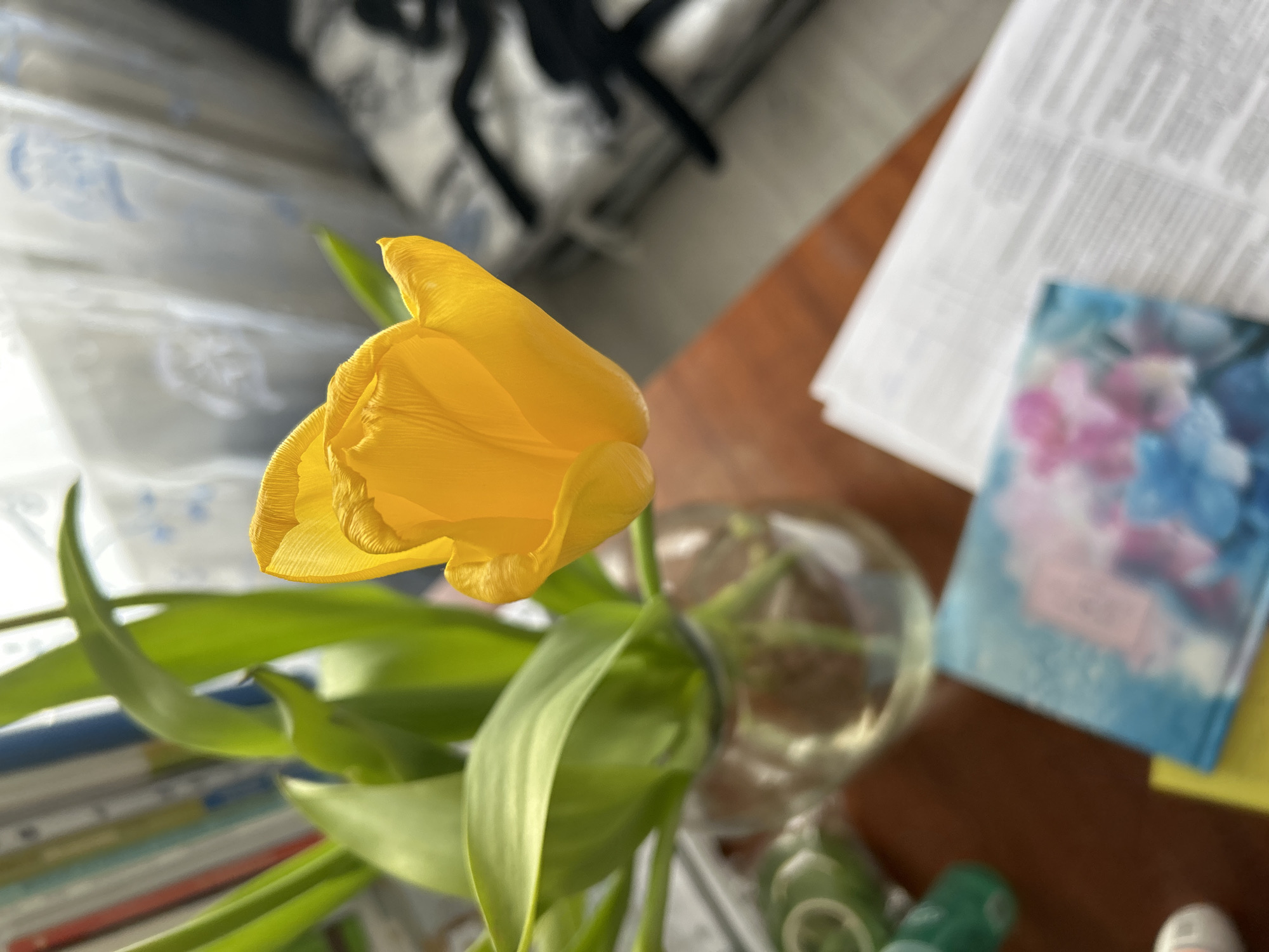 The scene is an indoor environment, likely a room within a residence or office building, located in the city of Unknown, Unknown. A single yellow tulip with textured petals is prominently featured, standing upright in a clear glass vase filled with water, alongside several green stems and leaves. The vase rests on a smooth, reddish-brown wooden surface. In the upper left background, a blurred stack of books with various colored spines (red, blue, light green) is visible. To the upper right background, a light-colored, patterned curtain covers a window, allowing natural light to illuminate the area. A dark, patterned fabric, resembling bedding, is partially visible in the mid-right background. On the wooden surface in the lower right foreground, a stack of white papers with printed text is present, topped by a small, rectangular object displaying a blurred blue and pink floral or abstract design. Additional blurred objects, including a white and grey item and green containers, are discernible on the far left of the wooden surface. No individuals are depicted, and no actions or interactions are observed.