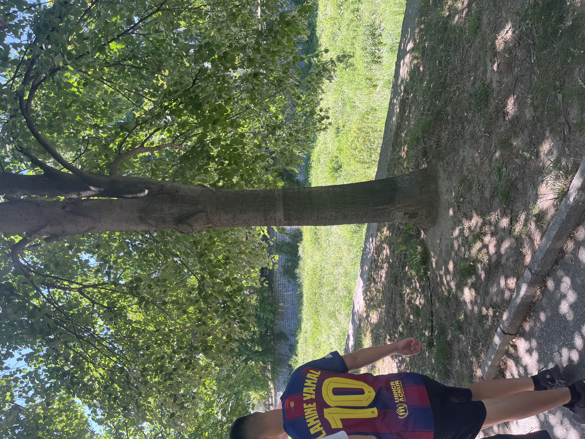 A medium-shot, low-angle photo taken in what appears to be the city of Blagoevgrad, Bulgaria, shows a person standing under a large tree, likely in a park or green space. The person is wearing a FC Barcelona jersey with the name "LAMINE YAMAL" and the number 10 visible on the back. The person's face is only partially visible. The environment includes the tree's trunk and branches, a lawn, and a paved area. A low brick wall is visible in the background. Shadows from the tree cover part of the ground.