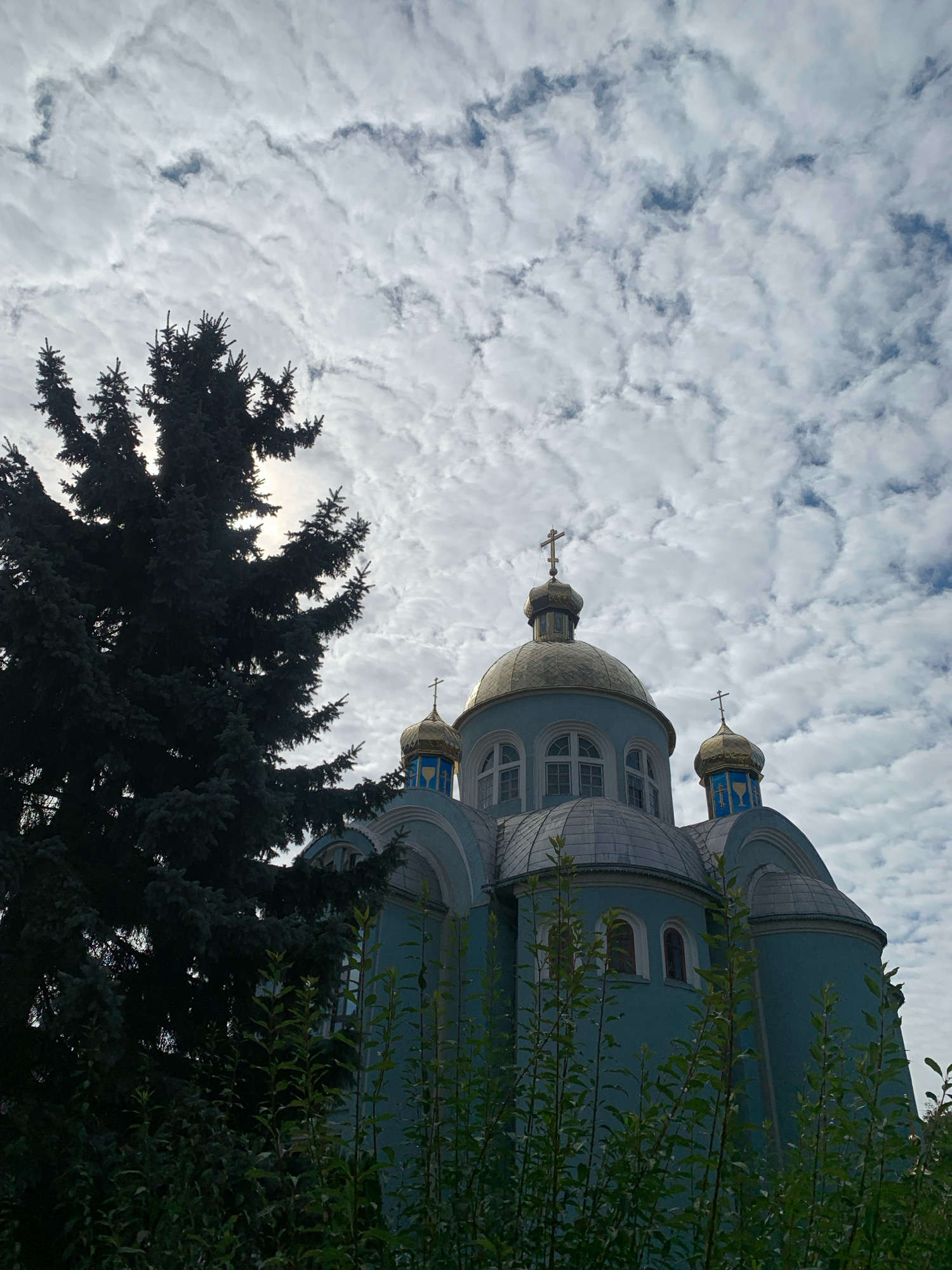 The image captures a serene view of a blue church with golden domes against a cloudy sky in Kolomyia, Ukraine. The church has multiple domes, the largest being central and topped with a cross. Smaller domes are visible on either side, also adorned with crosses. The architecture features arched windows and decorative elements on the domes. In the foreground, a large, dark green evergreen tree dominates the left side of the frame, its branches partially obscuring the sky and the church. Below the tree, the lower parts of the church are partially hidden by lush green foliage. The overall scene is tranquil, with the cloudy sky suggesting either an overcast day or the aftermath of a storm. No people are visible in the image.