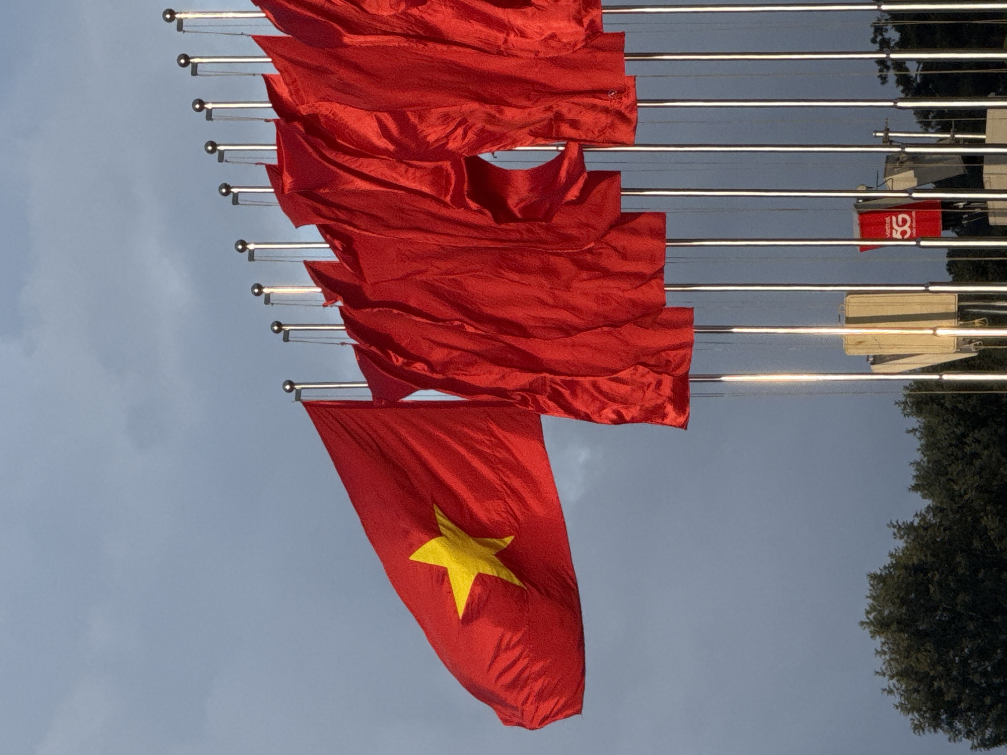 A line of red flags, one of which is the flag of Vietnam with a yellow star, are on display against a cloudy sky. The flags are mounted on poles. In the background, there are trees and some structures, including a sign with "5G" written on it. The image appears to be taken in Da Lat, Vietnam, a city known for its many flower gardens and colonial architecture.