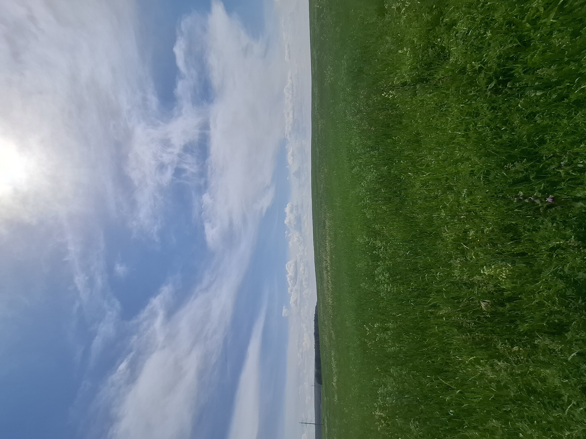 An expansive, lush green field stretches to the horizon under a bright, partly cloudy sky. The sky is a vibrant blue, with wispy white clouds scattered across it, and the sun is partially obscured by a large cloud formation in the upper right quadrant of the image. The field is densely covered with grass and some wildflowers, creating a rich, textured carpet of green. In the far distance, a line of trees forms a dark silhouette against the sky, and a single utility pole stands near the left edge of the frame. The overall impression is one of natural beauty and open space.