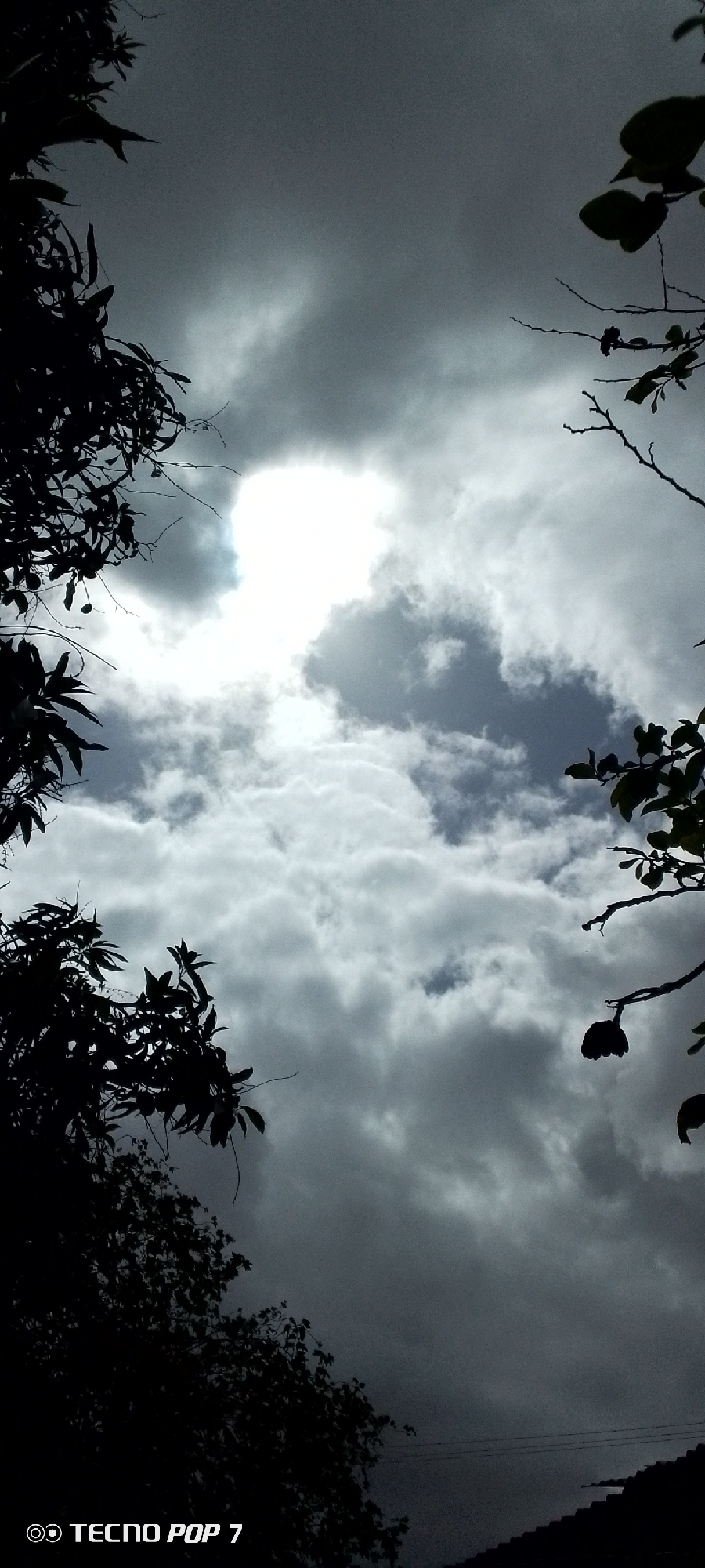 The image is a vertical, low-angle shot of a sky filled with dramatic, heavy clouds, with areas of bright sunlight breaking through. Silhouetted foliage from trees frames the top left and top right of the image. A dark, leafy branch with a distinct hanging fruit or seed pod is visible in the upper right quadrant. In the lower right corner, the dark silhouette of a tiled roof is visible. The bottom left corner contains the white text "TECNO POP 7" with a circular logo. The scene suggests an outdoor environment, possibly a residential area, with overcast or stormy weather conditions. The overall mood is dramatic and somewhat foreboding due to the dark clouds and silhouettes. The exact location in Altagracia, Venezuela, is not directly indicated by any visual cues within the image itself, other than the camera branding which may suggest a local capture.