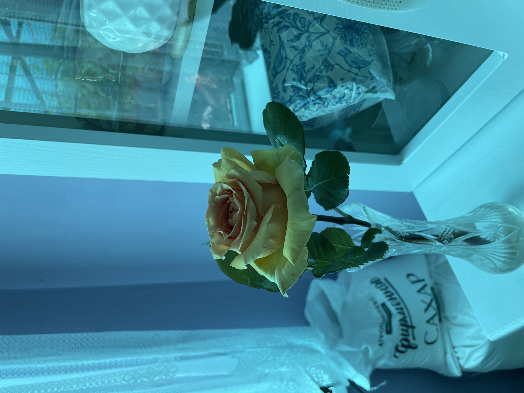 A rose with yellow and orange petals, and green leaves, is in a clear glass vase. A white bag with the Russian word "САХАР" (Sugar) printed on it is behind the vase. The background is predominantly light blue, with a blurry reflection of a window and various objects on a shelf. The location is Olginka, Russia.