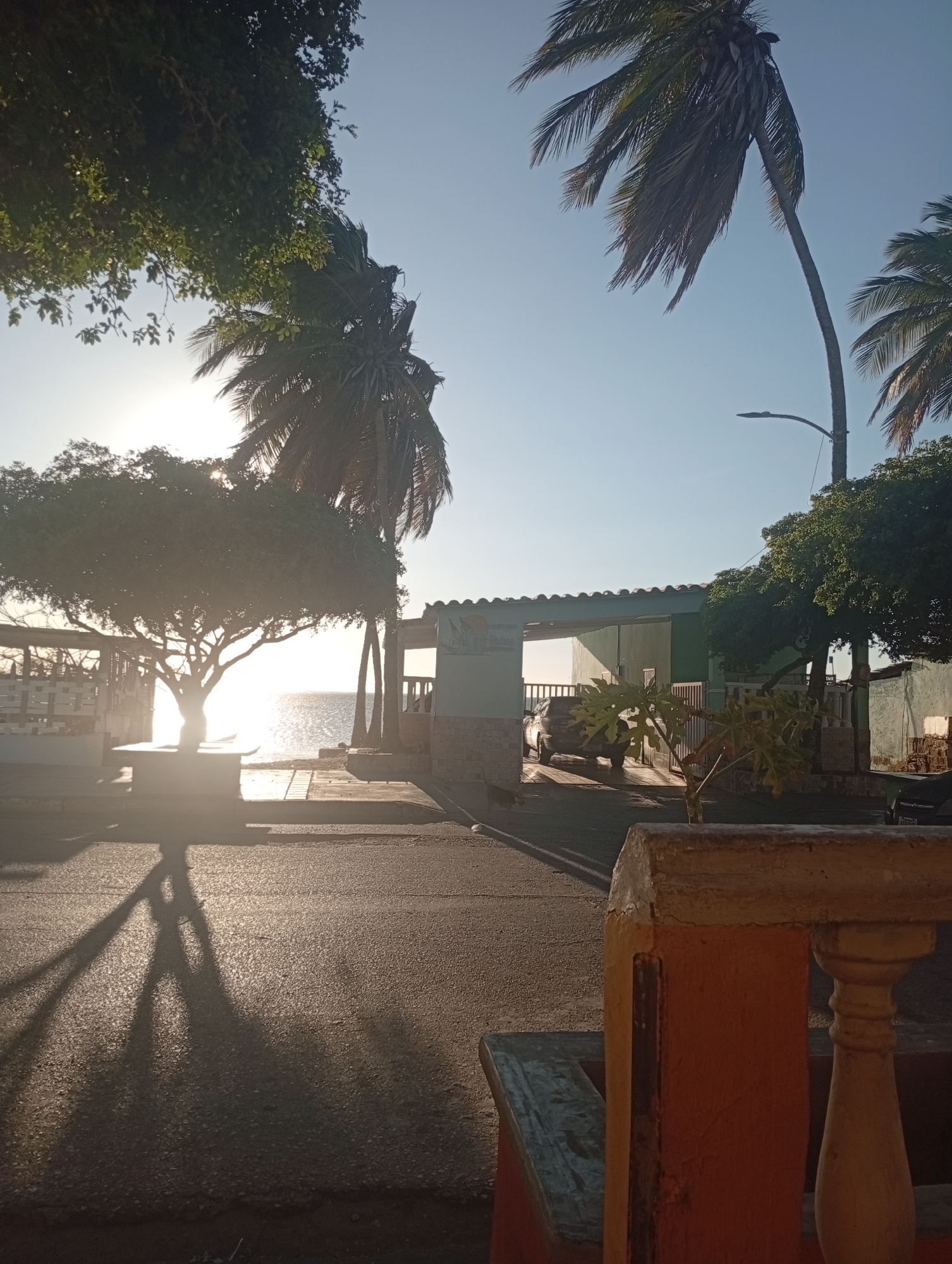 The image depicts a street scene in Juan Griego, Venezuela, possibly near the waterfront. The foreground shows part of a balustrade with a bench. The street is paved and leads toward the ocean, visible in the background. A tree casts a long shadow across the street. A light-colored building with a carport stands on the right side of the road, with a vehicle parked inside. Palm trees are scattered throughout the scene. The sky is clear and bright.