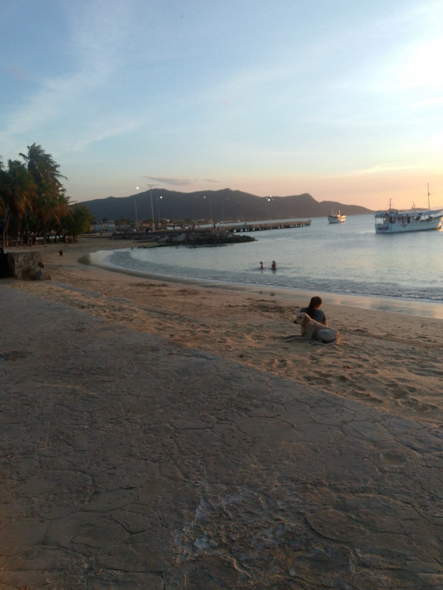 This image captures a twilight scene at the coast of Juan Griego, Venezuela. The immediate foreground is a cracked, dark-toned paved surface, which transitions into a sandy beach. A lone individual, dressed in a dark top, is seated on the sand with their back to the viewer, facing the calm bay waters. Adjacent to this person, a light-colored dog lies on the sand, also oriented towards the water. Two additional human figures are partially submerged in the bay further from the shore. To the left, a curved pier extends into the bay, illuminated by multiple streetlights, with indistinct human shapes visible along its length. A line of palm trees borders the beach on the far left. In the bay, two distinct boats are visible: a large white vessel with a cabin structure positioned towards the right, and a smaller white boat nearer the pier. Dark mountains form the distant background, with scattered artificial lights visible along their base and shoreline. The sky overhead is light blue, gradually shifting to hues of orange and pink at the horizon.
