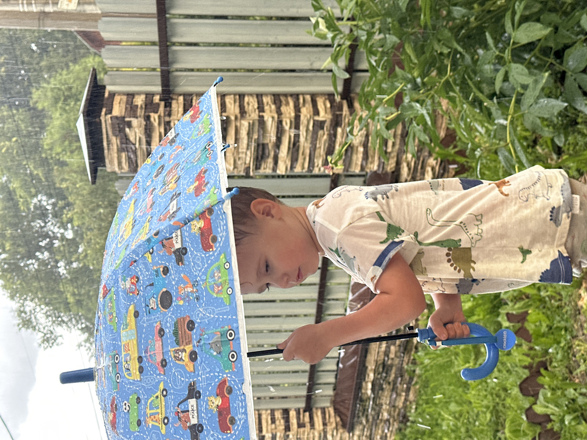 A young Caucasian boy is standing outside under a blue umbrella with a pattern of cartoon cars. He is wearing a light-colored t-shirt with a dinosaur print and beige shorts. The boy is holding the umbrella with his right hand. Rain is falling, and there are visible raindrops in the air. In the background, there is a wooden fence, a stone pillar, and green foliage. The location is a residential area in Nizhny Novgorod, Russia.