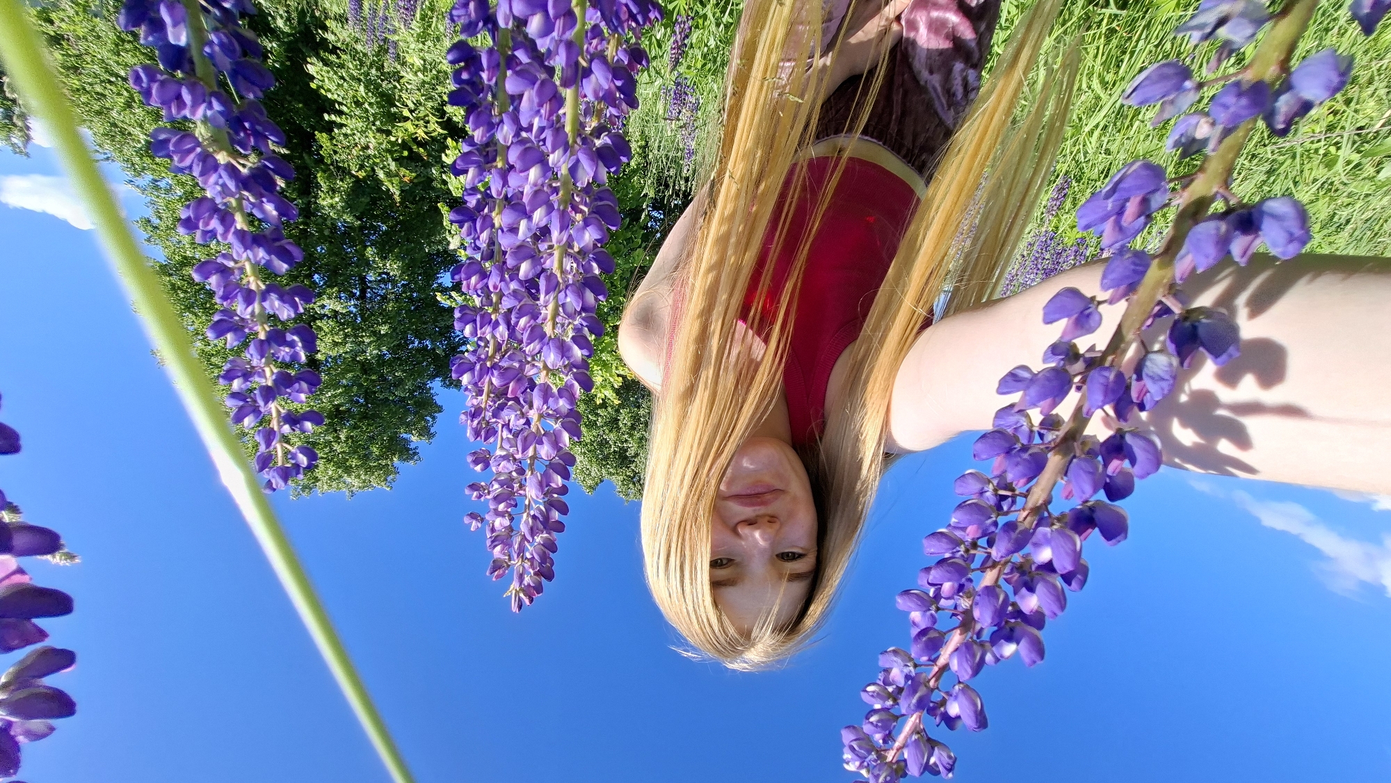 A young woman with long blonde hair, wearing a red top and a patterned skirt, is positioned in a field of purple lupine flowers. She is holding a lupine stem in her left hand and is looking at the camera with a slight smile. The background consists of a clear blue sky with scattered white clouds, green trees, and more lupine flowers. The image appears to be taken from a low angle, looking up at the woman and the flowers. The location is identified as Bolshoy Bukor, Russia.