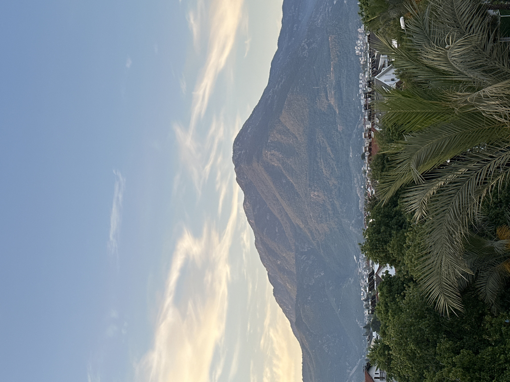A scenic landscape captured during the late afternoon or early evening, featuring a large mountain, a town, and a clear sky. The image, when correctly oriented, presents a vast, dark mountain range dominating the right side, its slopes covered in dense greenery and some visible rocky textures. The mountain's peak is silhouetted against a light blue sky, which fills the left and upper portions of the frame. Wispy, elongated clouds, some touched with a warm, yellowish glow from the low sun, stretch across the sky.
At the base of the mountain, extending into the midground and lower left, lies a sprawling settlement. Numerous white and light-colored buildings with distinct roofs are visible, nestled among a dense canopy of green trees. The foreground on the far right and bottom is framed by the dark green fronds of several palm trees, adding a tropical element to the scene. Other lush green foliage also populates the immediate foreground. The overall lighting is soft and warm, characteristic of dusk or dawn, creating a peaceful and serene atmosphere. There is no visible text in the image. Given the context, this picturesque view depicts a landscape in Fethiye, Turkey.