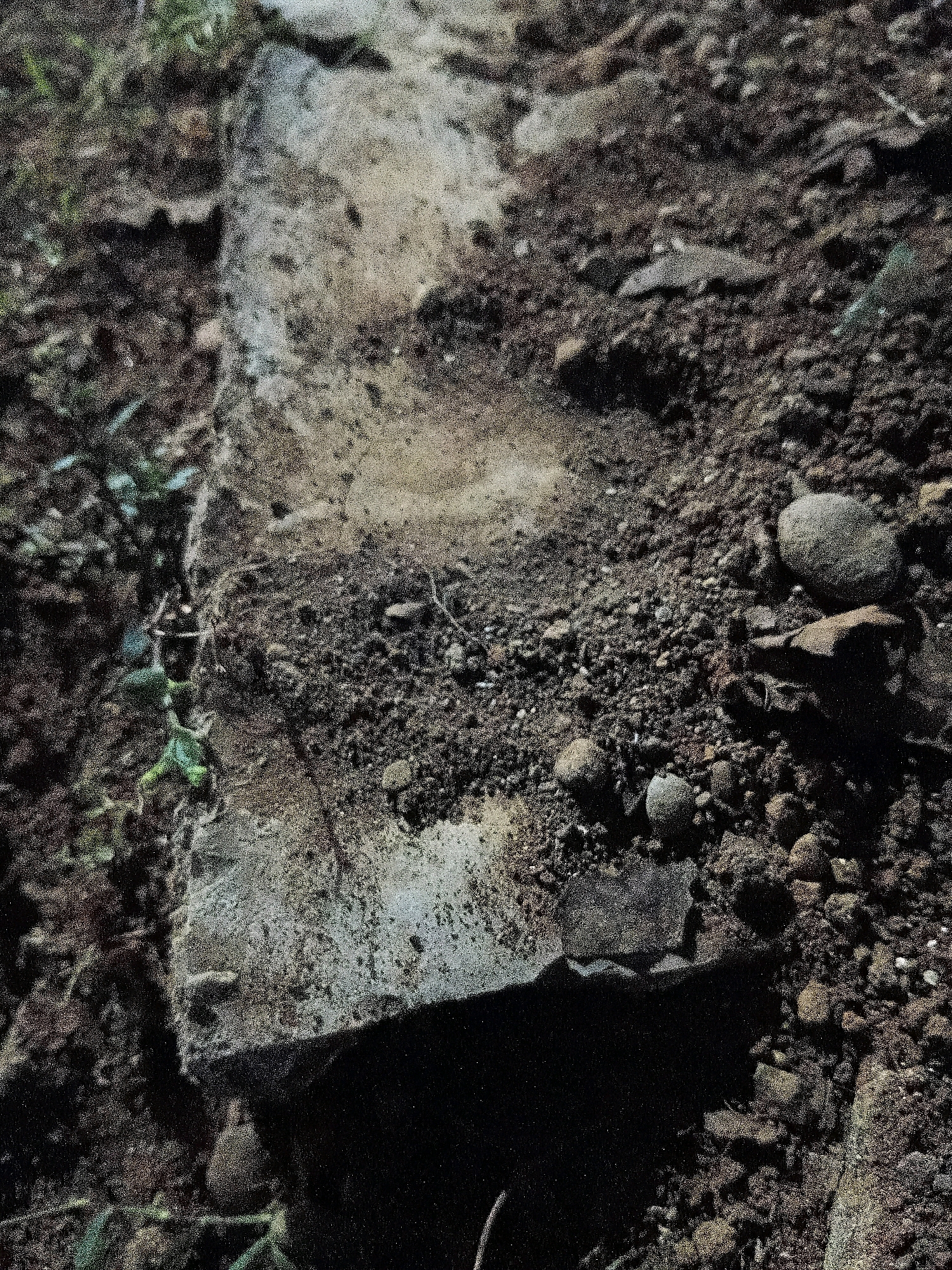 The image depicts a close-up view of rocky, earthy terrain, possibly in an outdoor setting. A large, flat, light-colored stone or concrete slab is partially visible in the foreground, lying horizontally and embedded in dark soil. The soil is composed of fine particles mixed with various sizes of pebbles and small rocks. Scattered throughout the scene are numerous small, rounded stones of different shades of brown and gray. Some sparse green vegetation is present, particularly on the left side of the image, growing amongst the soil and rocks. The lighting suggests an outdoor environment, with shadows cast on the ground, indicating either sunlight or artificial lighting. The overall impression is of a natural or possibly disturbed ground surface, with no clear indication of human activity or specific urban features. The image does not provide any visual cues or context to associate it with the city of Cikal, Indonesia.