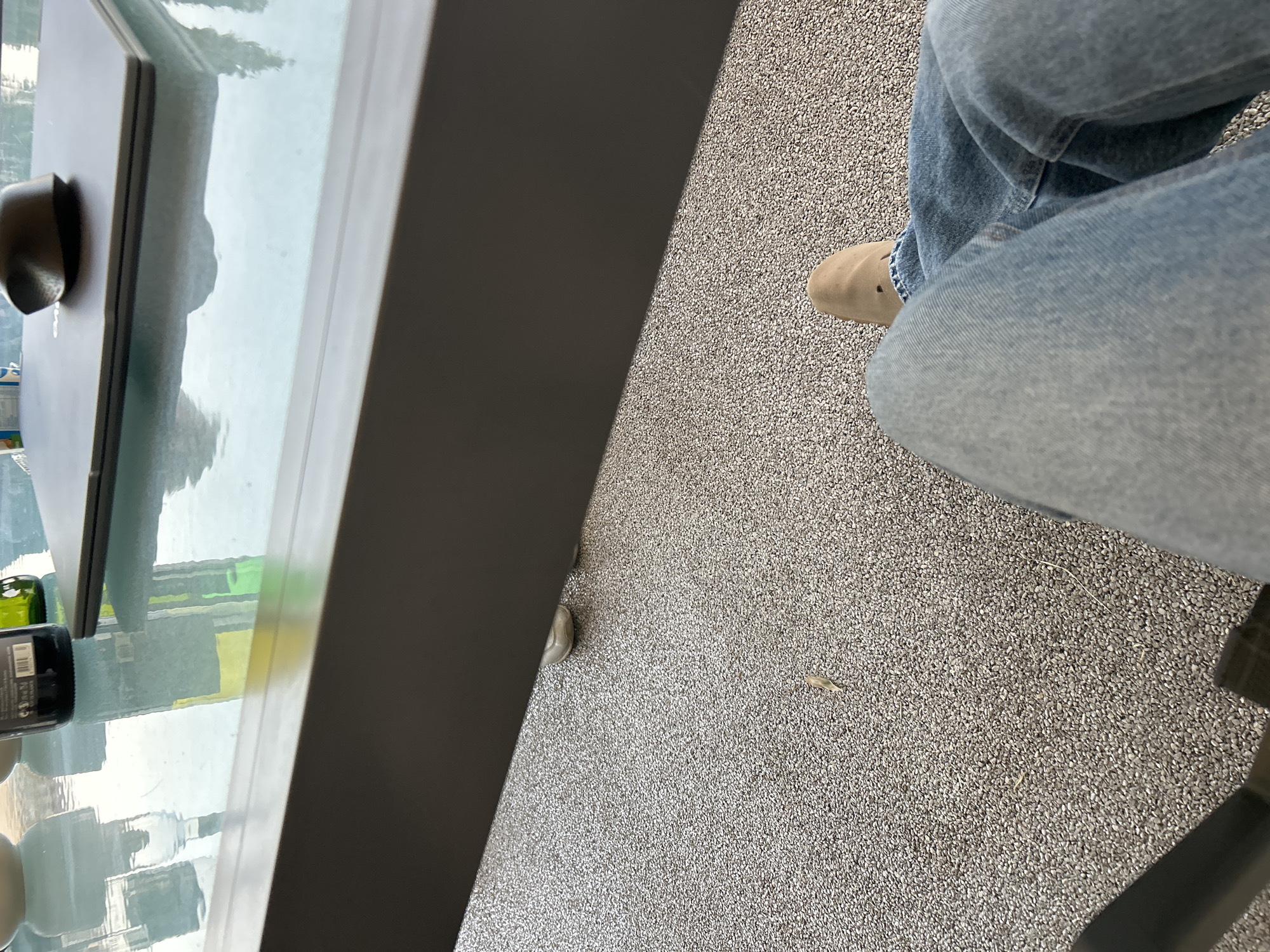 The image shows a person seated at a table, wearing blue jeans and tan shoes. The table appears to be glass-topped with various objects on it, including what seems to be a bottle of wine. The floor is a textured grey surface. The city and state location are unknown.