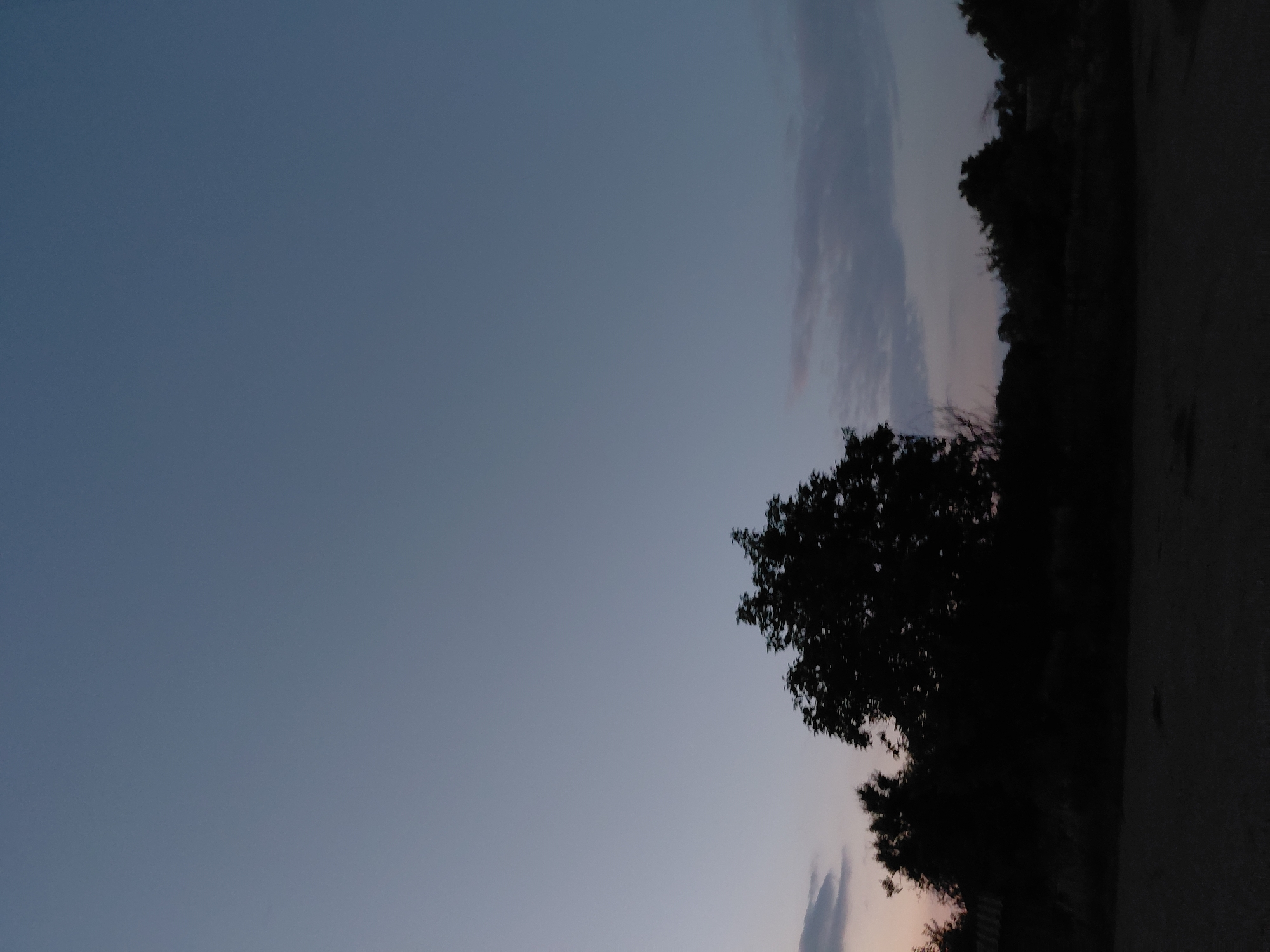The image depicts a twilight scene, likely in the city of Ustyvytsia, Ukraine. The upper portion of the frame is dominated by a vast expanse of pale blue, almost gray sky. Towards the horizon, the sky transitions to a slightly darker hue. In the lower half of the image, a dark silhouette of trees and shrubbery stretches across the frame. A prominent, leafy tree stands out in the center, its branches stark against the sky. Scattered clouds, tinged with faint pink and purple hues, are visible just above the treeline on the right side. A dimly lit, possibly unpaved ground surface occupies the very bottom of the image, suggesting an outdoor, rural or semi-rural setting. No people or specific structures are clearly identifiable in the image.