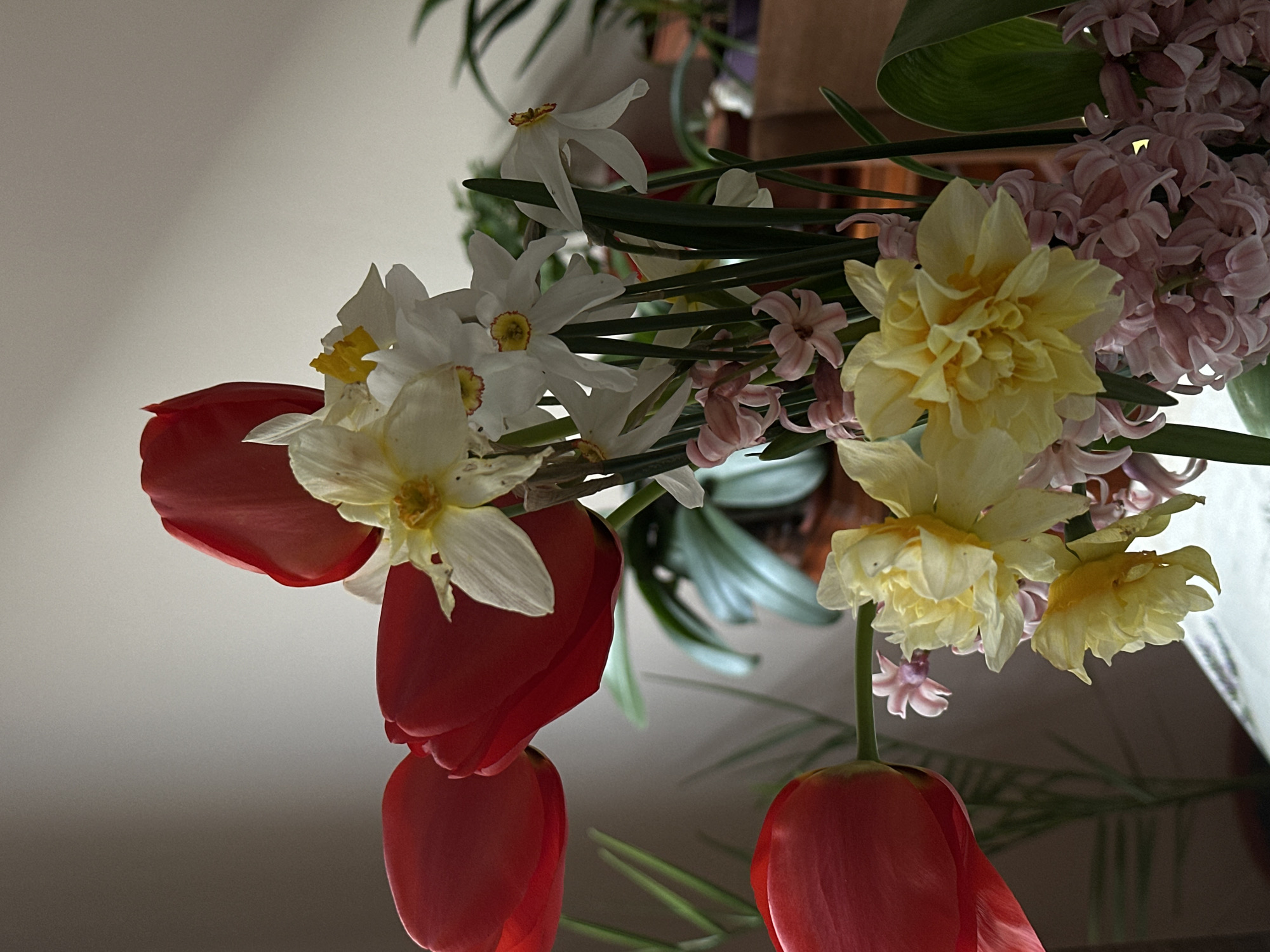 The image shows a bouquet of flowers. The bouquet includes red tulips, white daffodils, yellow daffodils, and pink hyacinths. The flowers are arranged in a vase or container that is not visible. The background is blurred, but appears to be a room with plants. The image does not provide information about the location or city of Stara Zagora, Bulgaria.