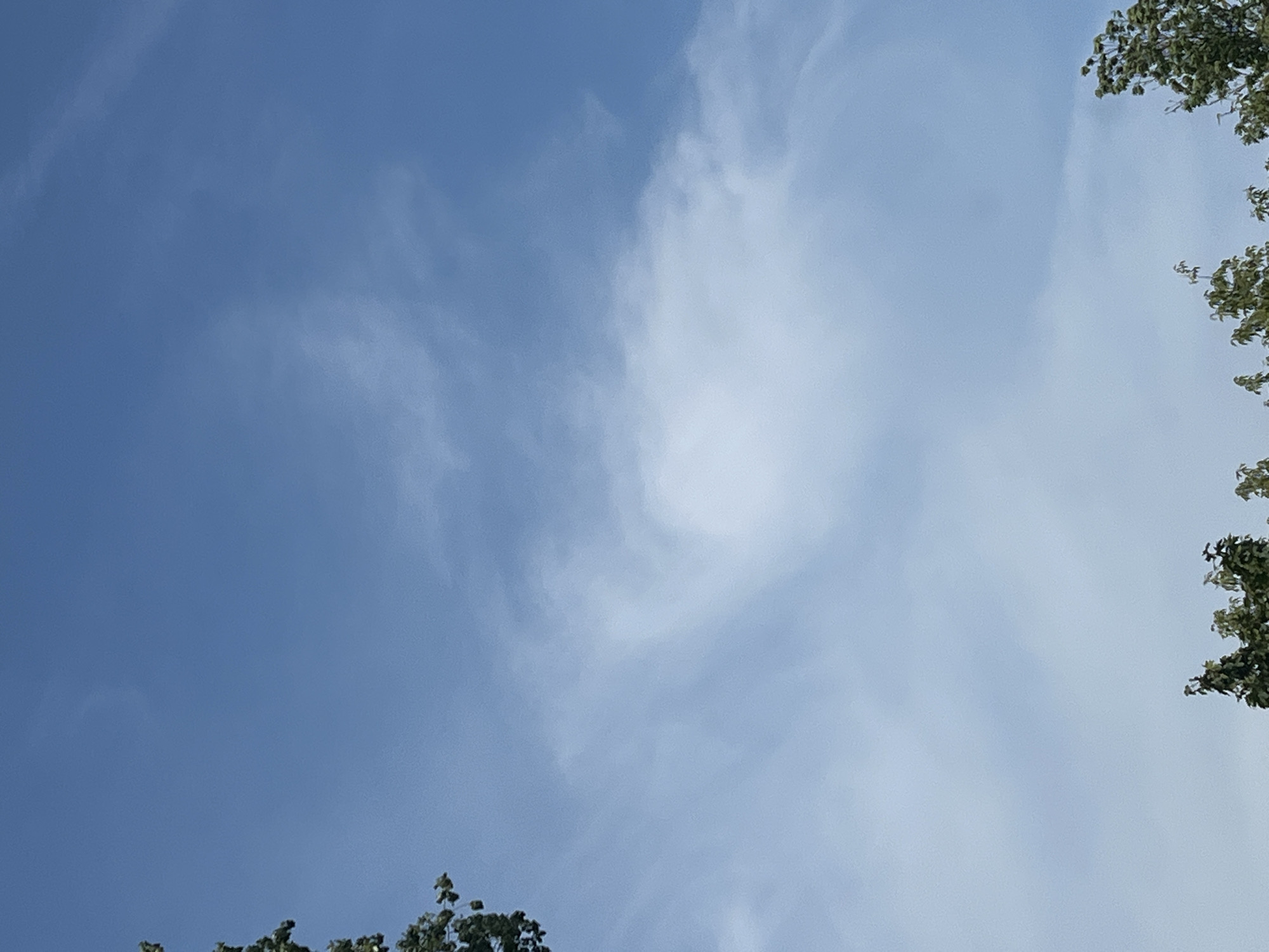 The image is a vertical, low-angle shot of a blue sky with scattered white clouds. The tops of trees with green foliage are visible along the bottom edge of the frame. No specific location in Warsaw, Poland, is identifiable from the image. There are no people, objects, or actions depicted.