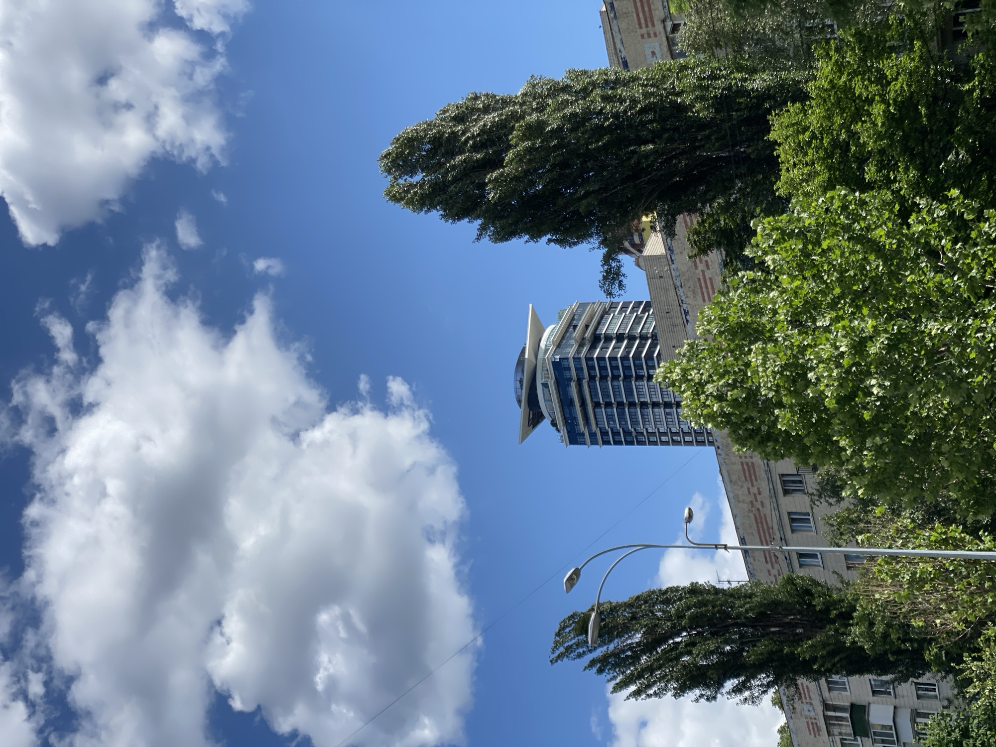 This is a vertical, medium-shot, outdoor, daytime photograph captured in Kyiv, Ukraine. The sky is a vibrant blue, dotted with puffy white clouds. In the background, a modern, multi-story building with a distinctive, stepped roofline and many windows is visible. In front of it, an older, low-rise building with a red-and-white patterned facade is partially obscured. Two tall, slender trees stand in the foreground, their dark green foliage contrasting with the bright sky. A street lamp with two lights is positioned between these trees. Green trees and foliage are abundant throughout the lower portion of the frame, suggesting a city park or tree-lined street. There are no people visible in the image.