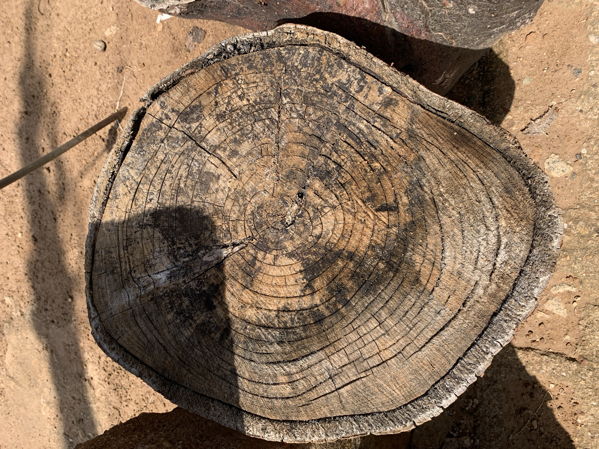 An overhead shot shows the cross-section of a weathered tree stump, its rings clearly visible. The stump is positioned on dry, sandy ground with scattered small stones. A dark shadow, likely from overhead foliage or a structure, falls across the top portion of the stump. To the left and right of the stump are darker, cylindrical objects, possibly other tree trunks or posts. A thin, dark stick or pole is partially visible in the upper right corner, leaning diagonally into the background. The environment appears to be outdoors, possibly in a rural or undeveloped area within Rafin Par, Nigeria. There are no people or animals present in the image.